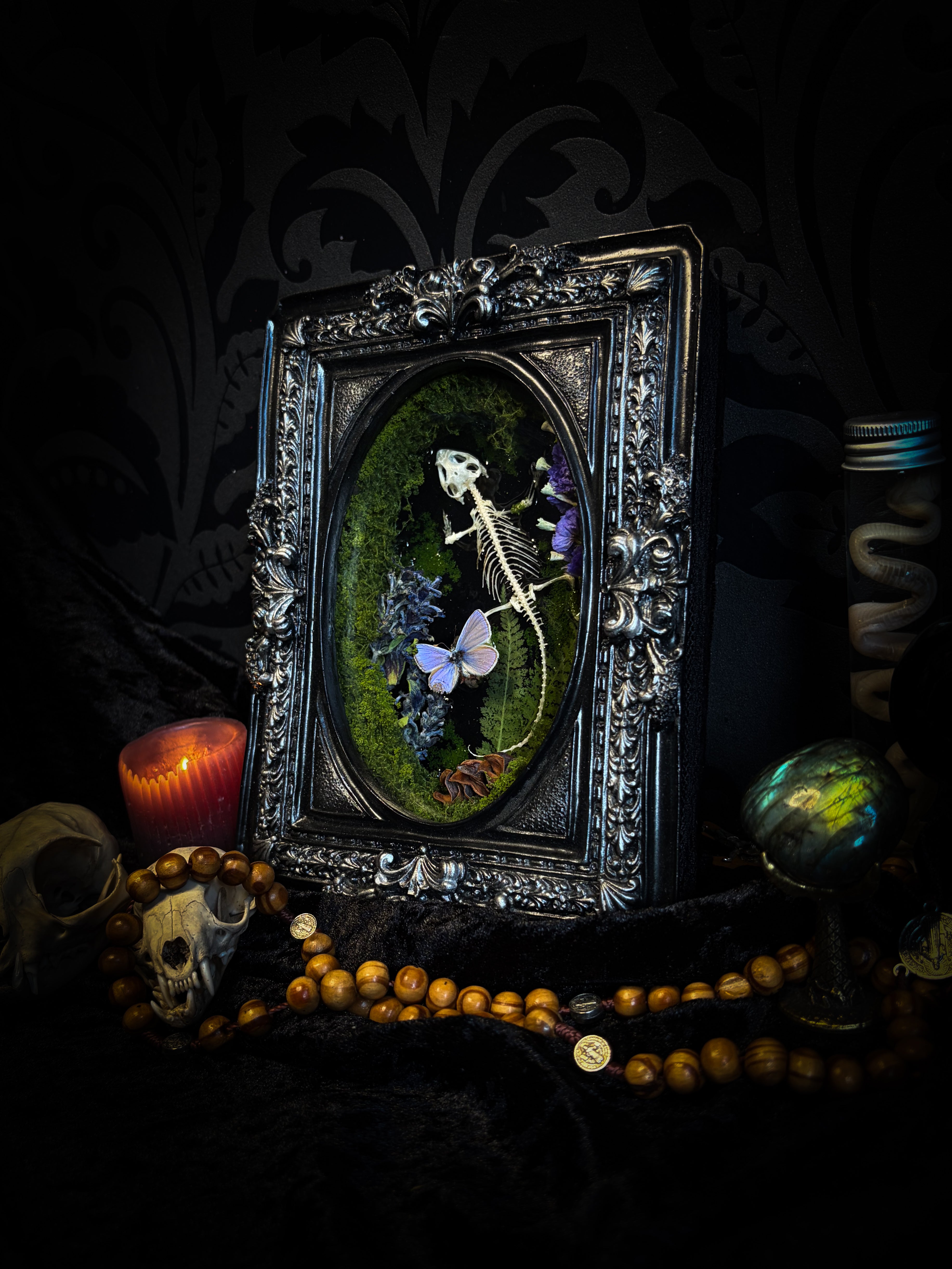 Viridis Somnia | handmade gothic shadowbox with agama skeleton, resin lake surface, blue butterfly and moss | Morbid Oddities
