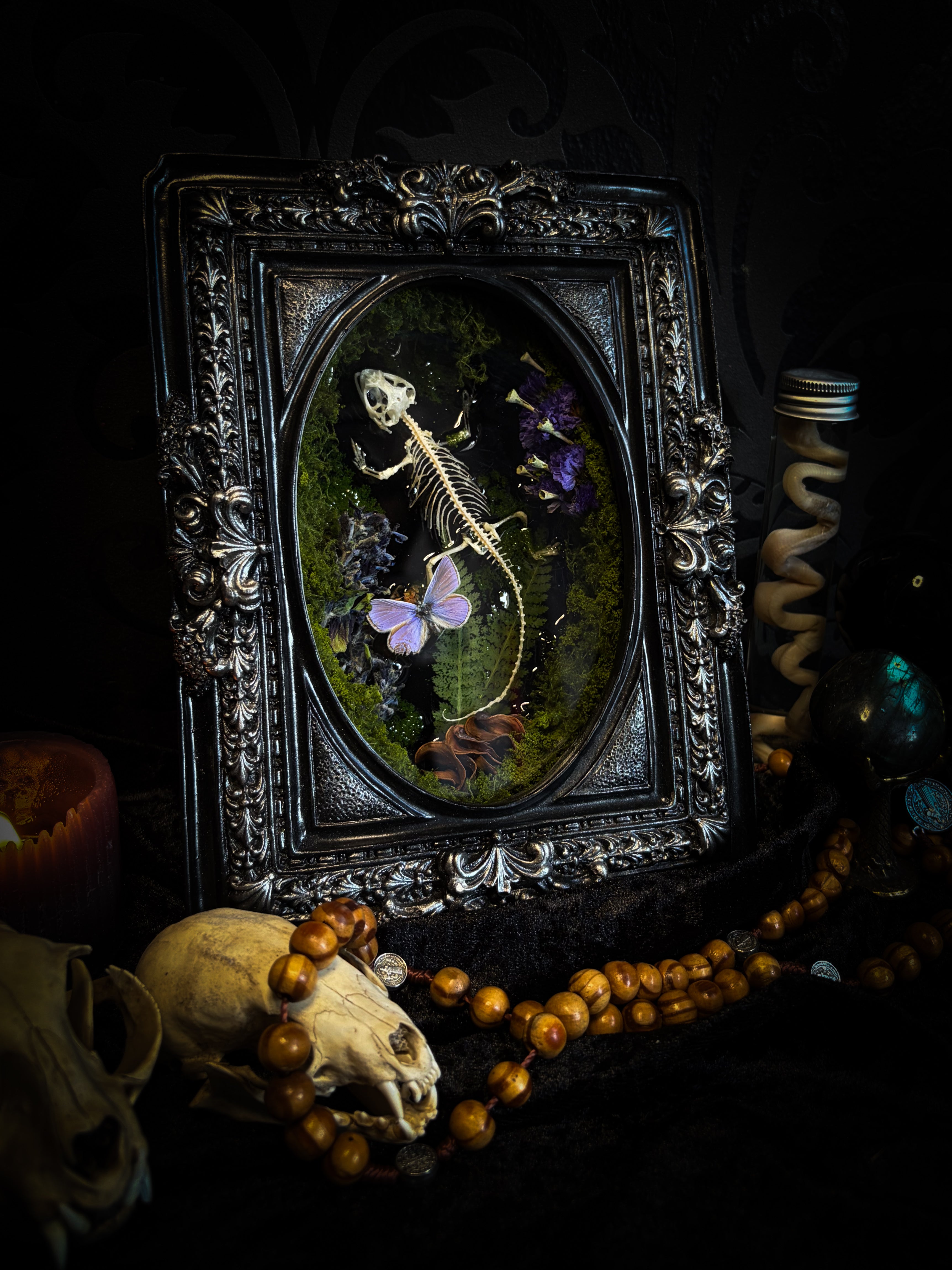 Viridis Somnia | handmade gothic shadowbox with agama skeleton, resin lake surface, blue butterfly and moss | Morbid Oddities
