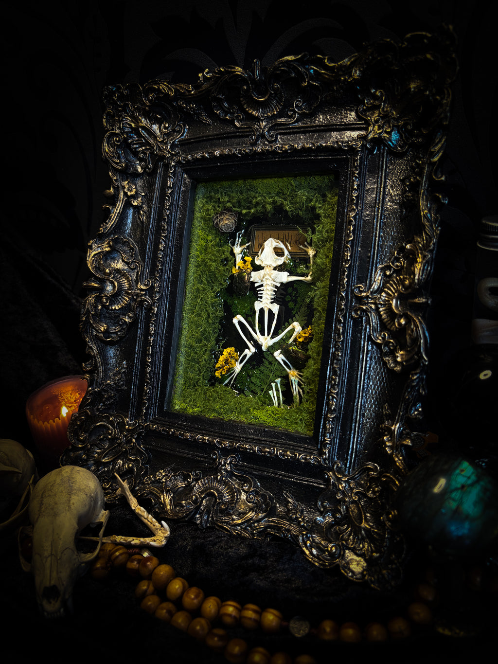 Bufo Viridis | handmade gothic shadowbox with toad skeleton, resin lake surface, green beetles and moss | Morbid Oddities
