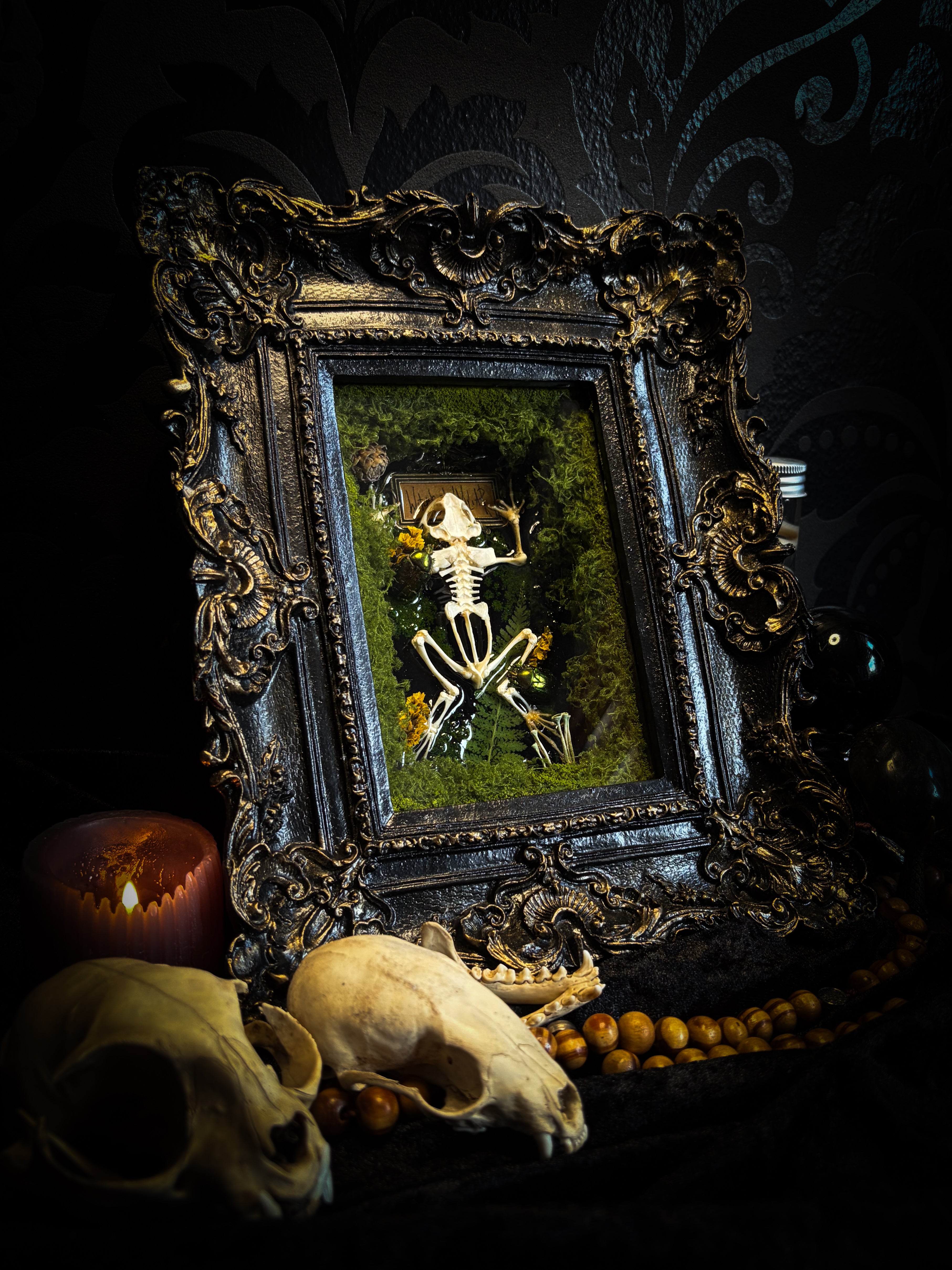 Bufo Viridis | handmade gothic shadowbox with toad skeleton, resin lake surface, green beetles and moss | Morbid Oddities
