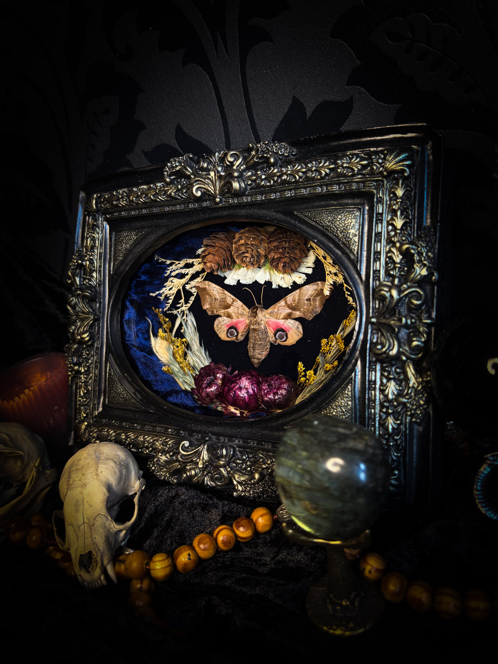 The Dreaming Eye | handmade gothic shadowbox with Smerinthus ocellata hawk-moth, blue velvet background, pine cones and dried flowers | Morbid Oddities
