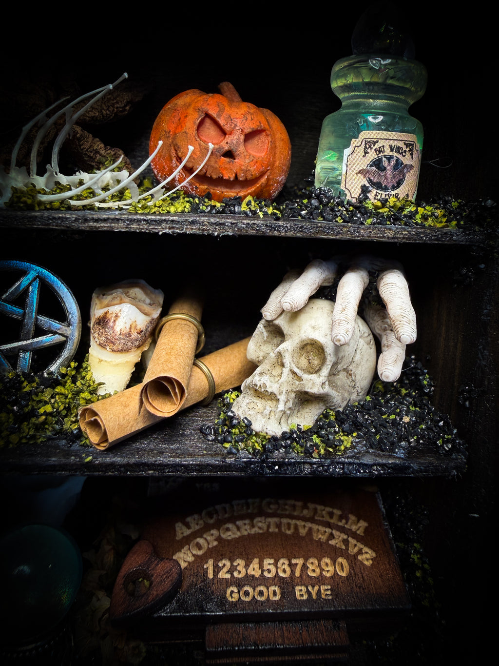 The Curator | handmade witchy shadowbox with real tarantula, ouija board, pentagram, skulls, spell books, glass dome and curiosities, dark wood frame with black velvet | Morbid Oddities