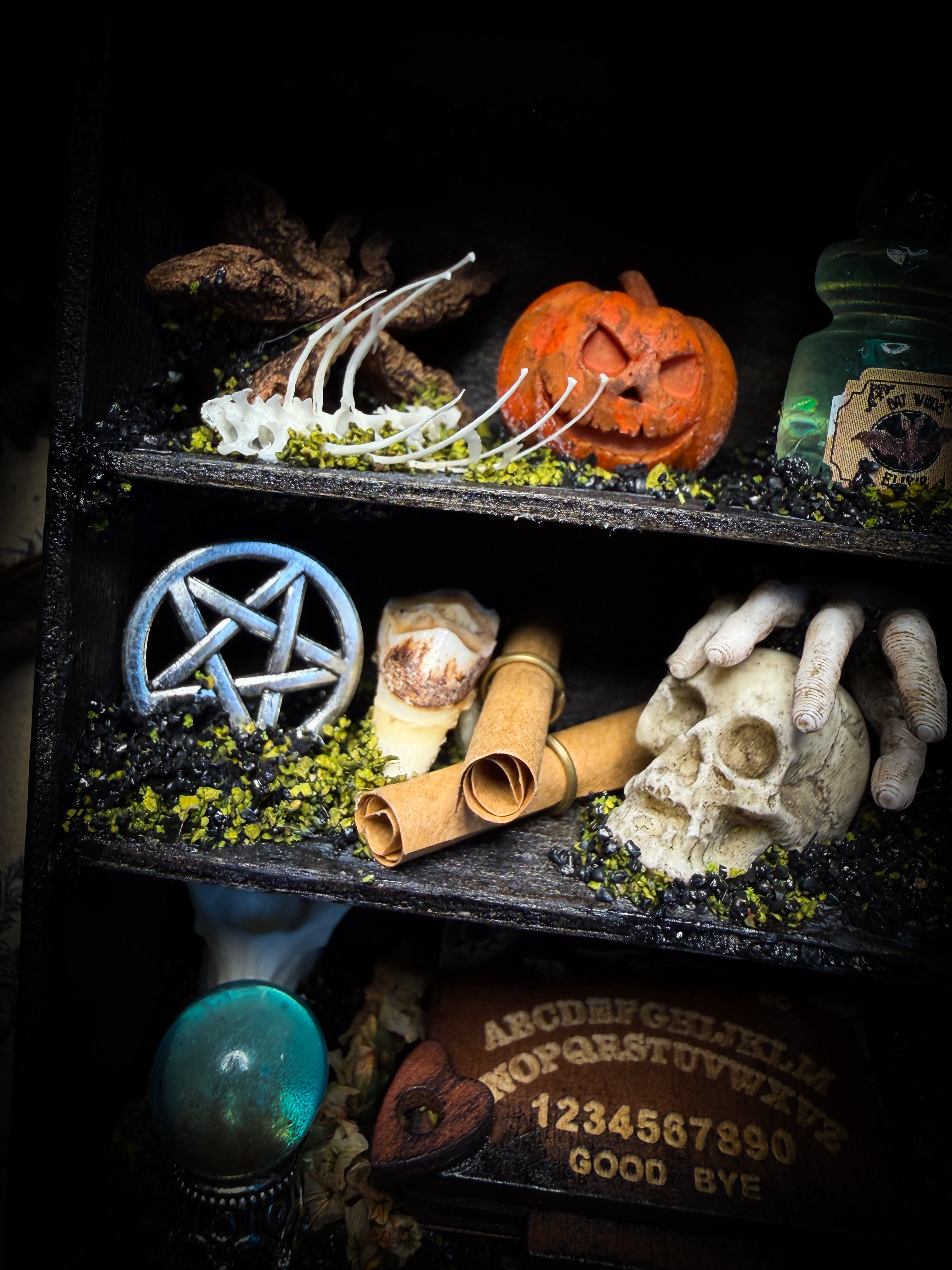 The Curator | handmade witchy shadowbox with real tarantula, ouija board, pentagram, skulls, spell books, glass dome and curiosities, dark wood frame with black velvet | Morbid Oddities