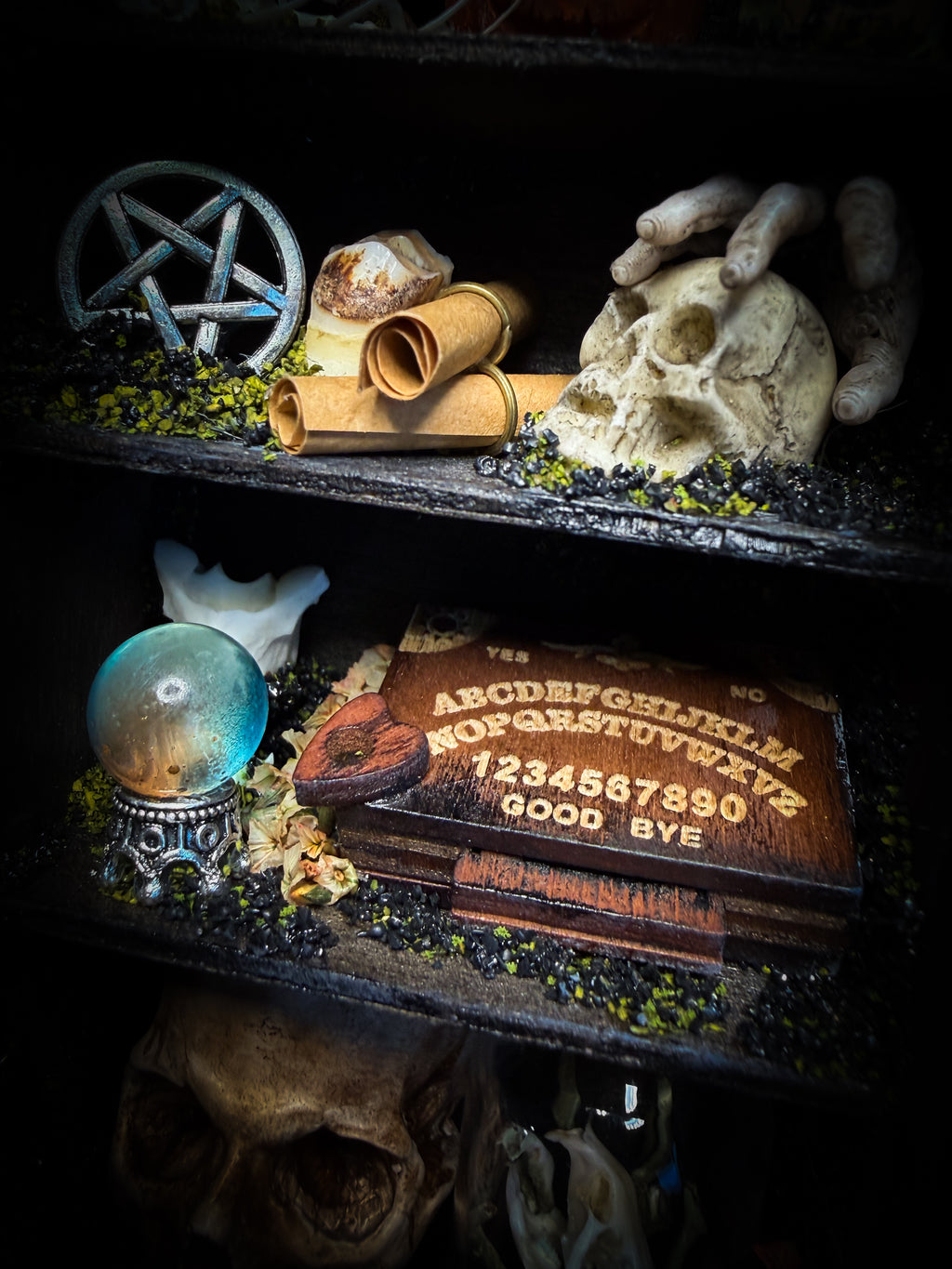 The Curator | handmade witchy shadowbox with real tarantula, ouija board, pentagram, skulls, spell books, glass dome and curiosities, dark wood frame with black velvet | Morbid Oddities
