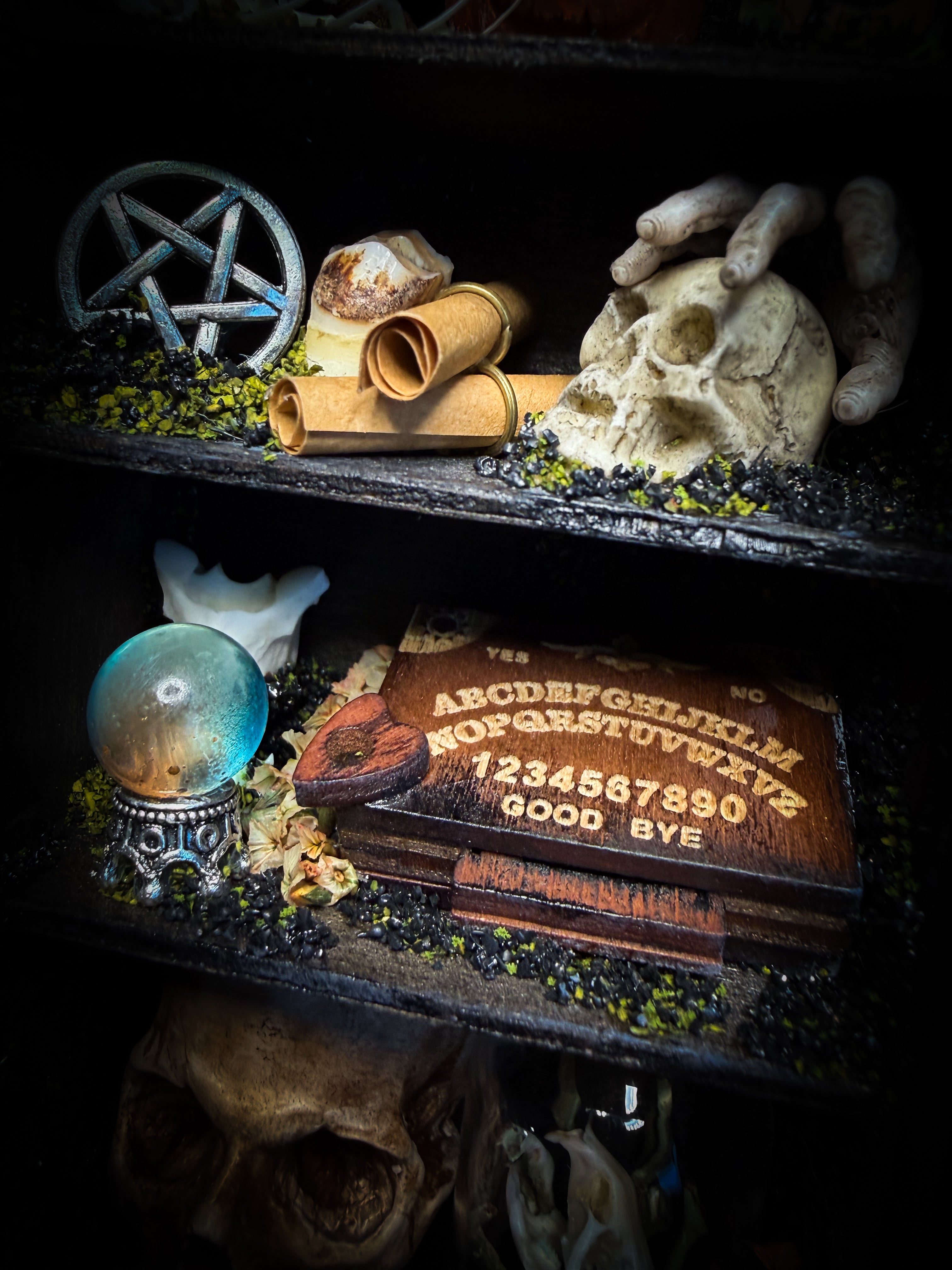 The Curator | handmade witchy shadowbox with real tarantula, ouija board, pentagram, skulls, spell books, glass dome and curiosities, dark wood frame with black velvet | Morbid Oddities