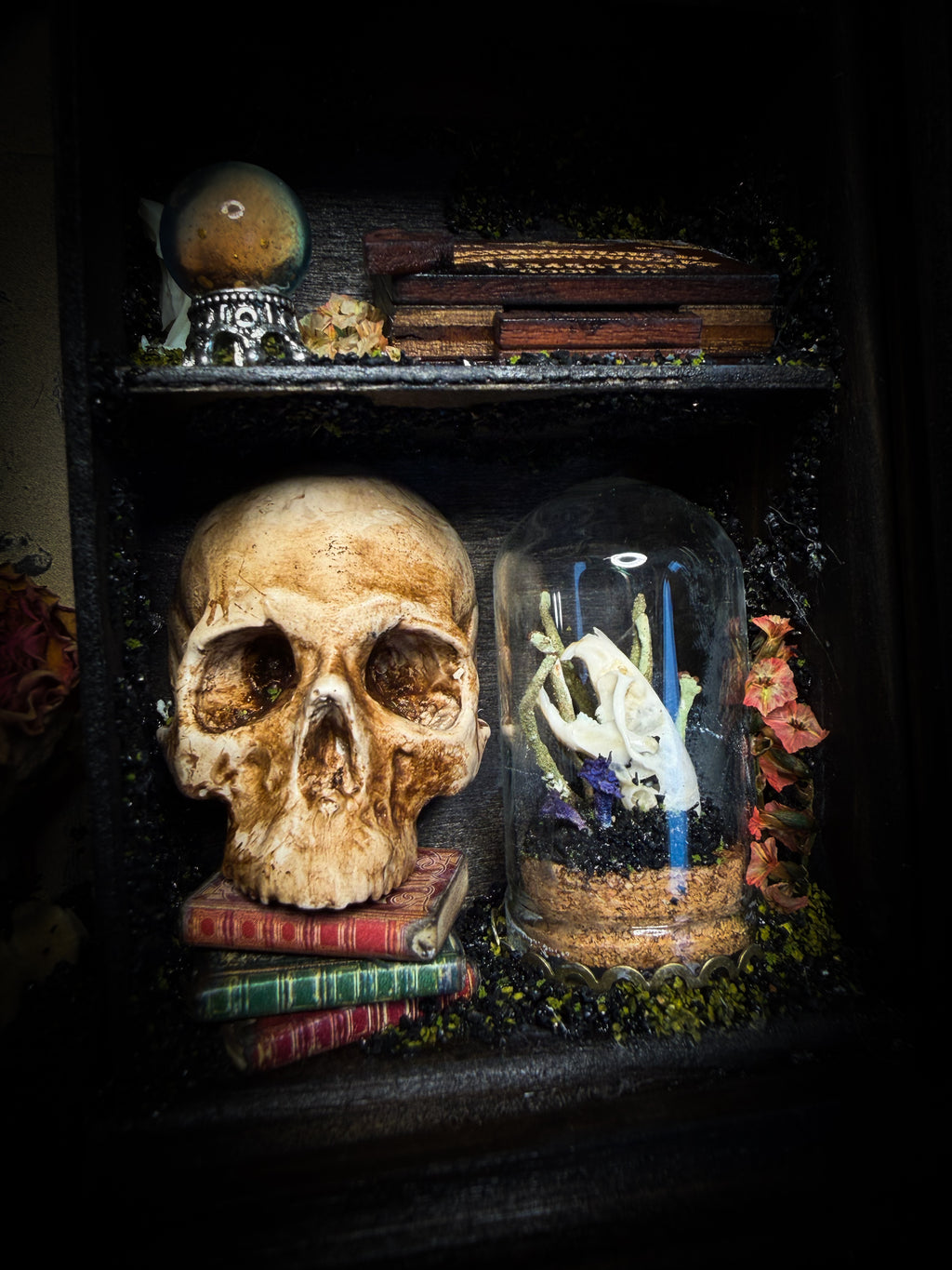 The Curator | handmade witchy shadowbox with real tarantula, ouija board, pentagram, skulls, spell books, glass dome and curiosities, dark wood frame with black velvet | Morbid Oddities