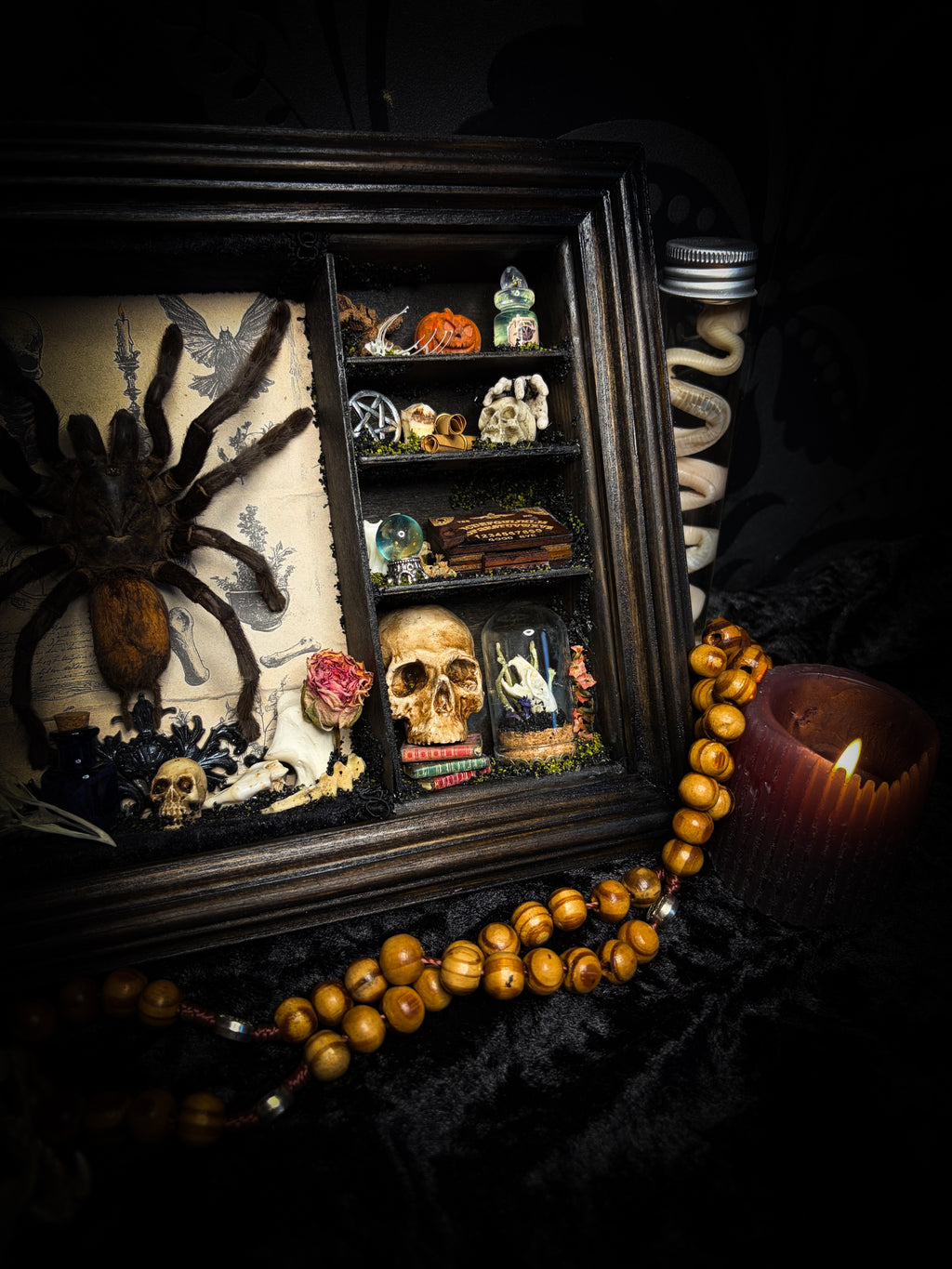 The Curator | handmade witchy shadowbox with real tarantula, ouija board, pentagram, skulls, spell books, glass dome and curiosities, dark wood frame with black velvet | Morbid Oddities