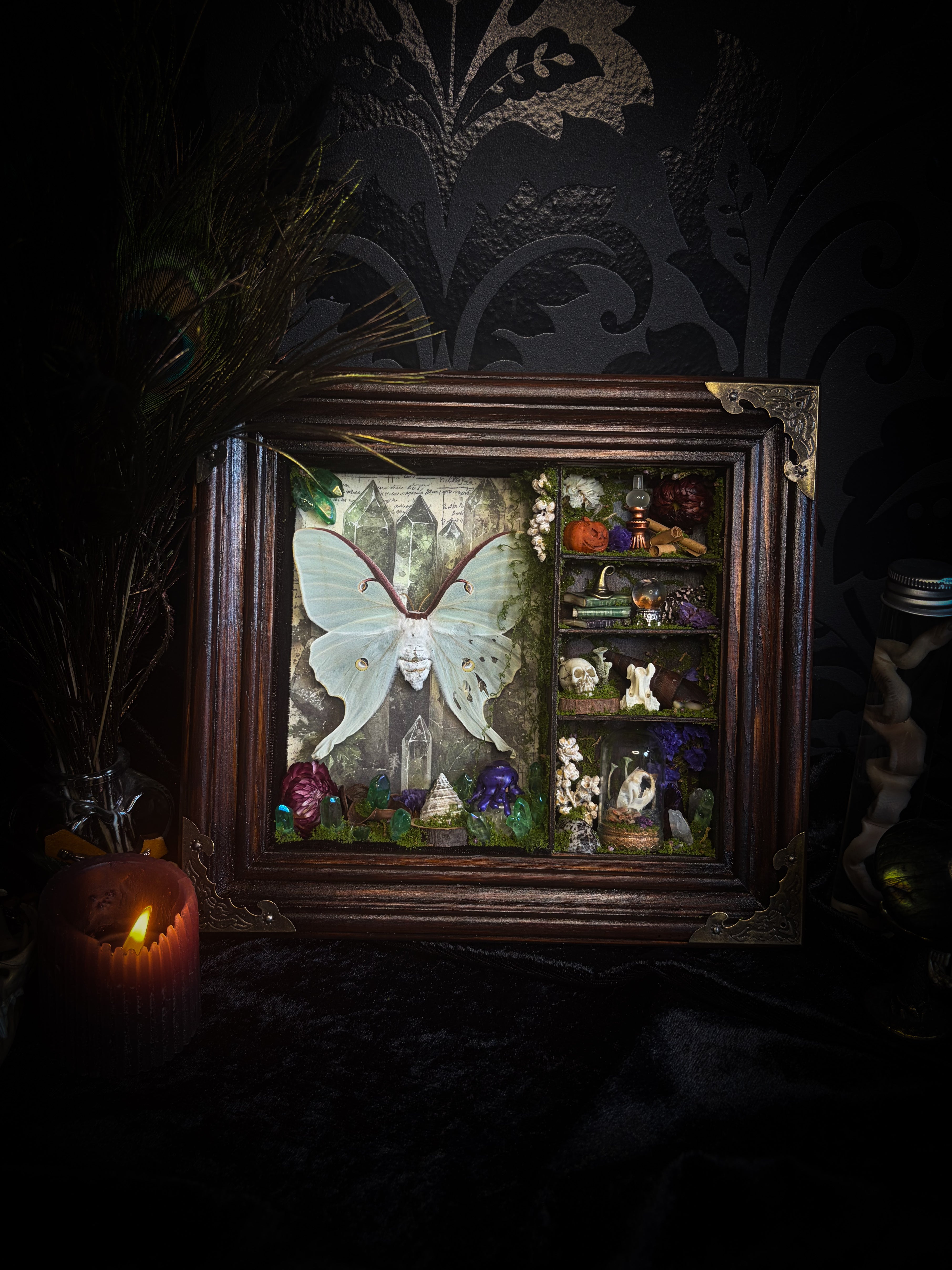 The Alchemist | handmade witchy shadowbox with Actias luna moth, green crystals, snake skin bottle, glass dome, oil lamp and curiosities, dark wood frame with brown velvet and moth corner brackets | Morbid Oddities
