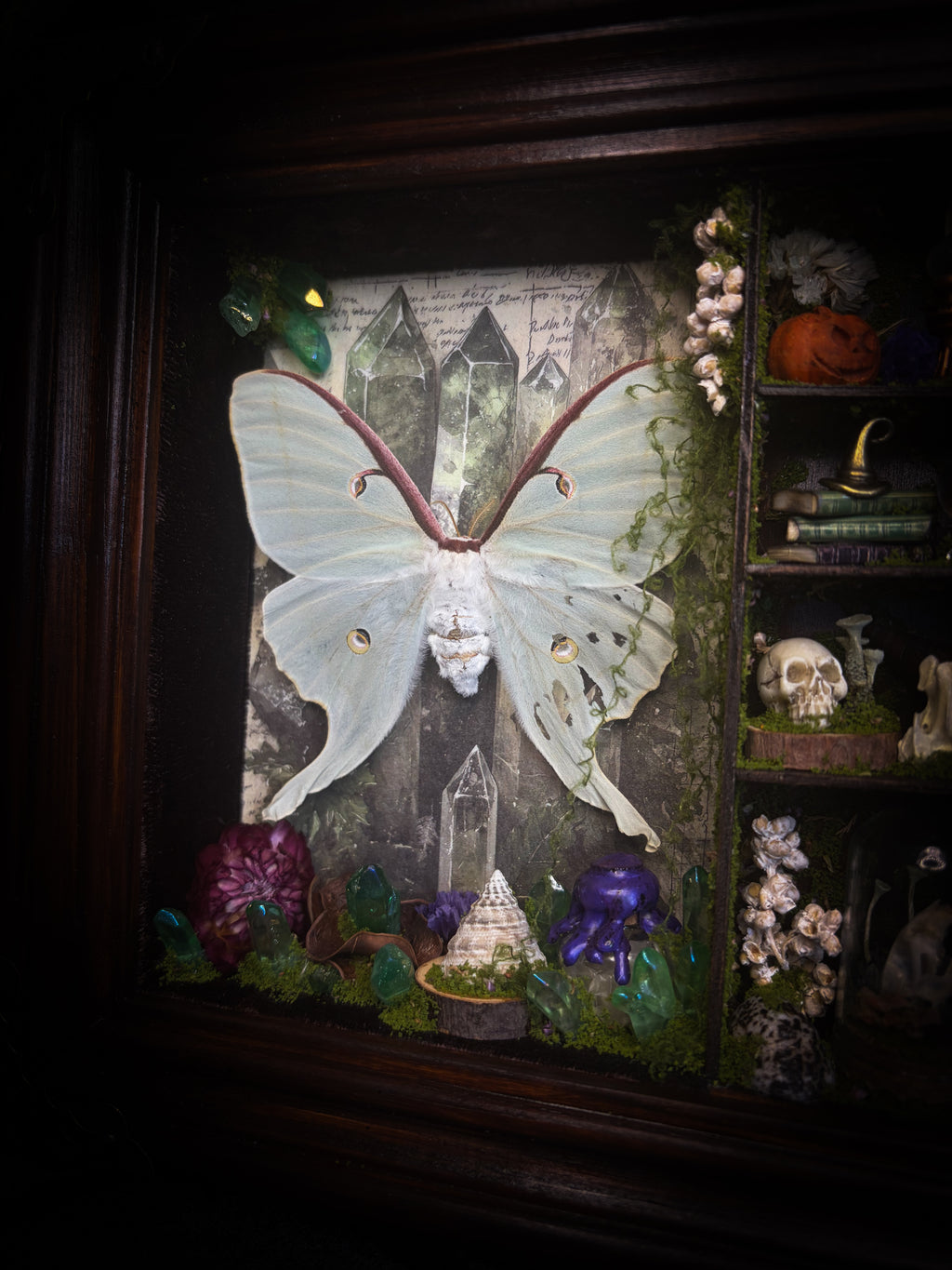 The Alchemist | handmade witchy shadowbox with Actias luna moth, green crystals, snake skin bottle, glass dome, oil lamp and curiosities, dark wood frame with brown velvet and moth corner brackets | Morbid Oddities
