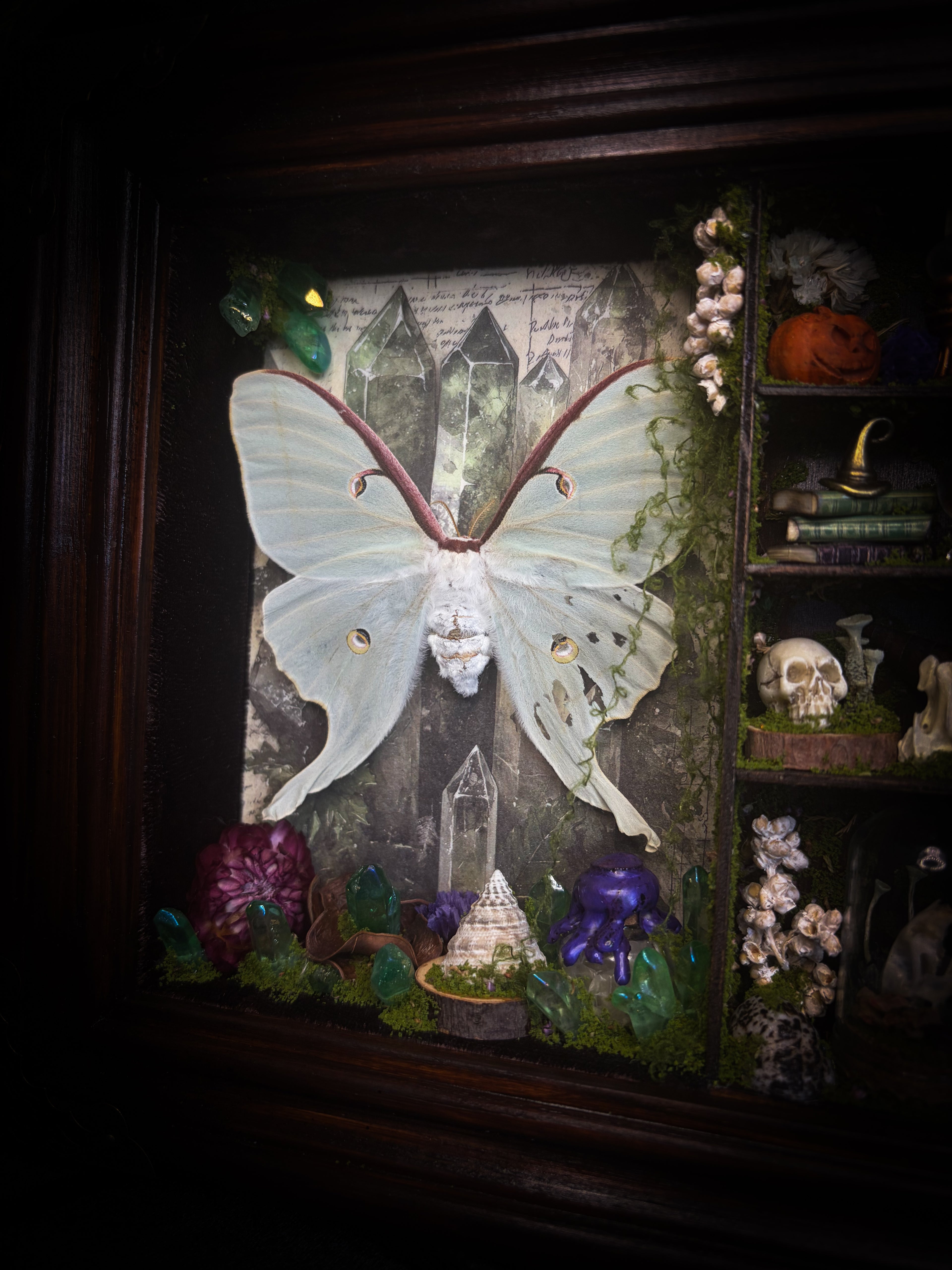 The Alchemist | handmade witchy shadowbox with Actias luna moth, green crystals, snake skin bottle, glass dome, oil lamp and curiosities, dark wood frame with brown velvet and moth corner brackets | Morbid Oddities
