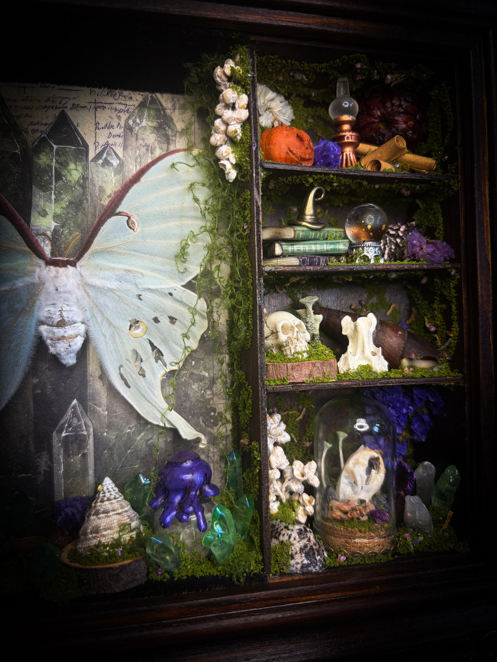 The Alchemist | handmade witchy shadowbox with Actias luna moth, green crystals, snake skin bottle, glass dome, oil lamp and curiosities, dark wood frame with brown velvet and moth corner brackets | Morbid Oddities

