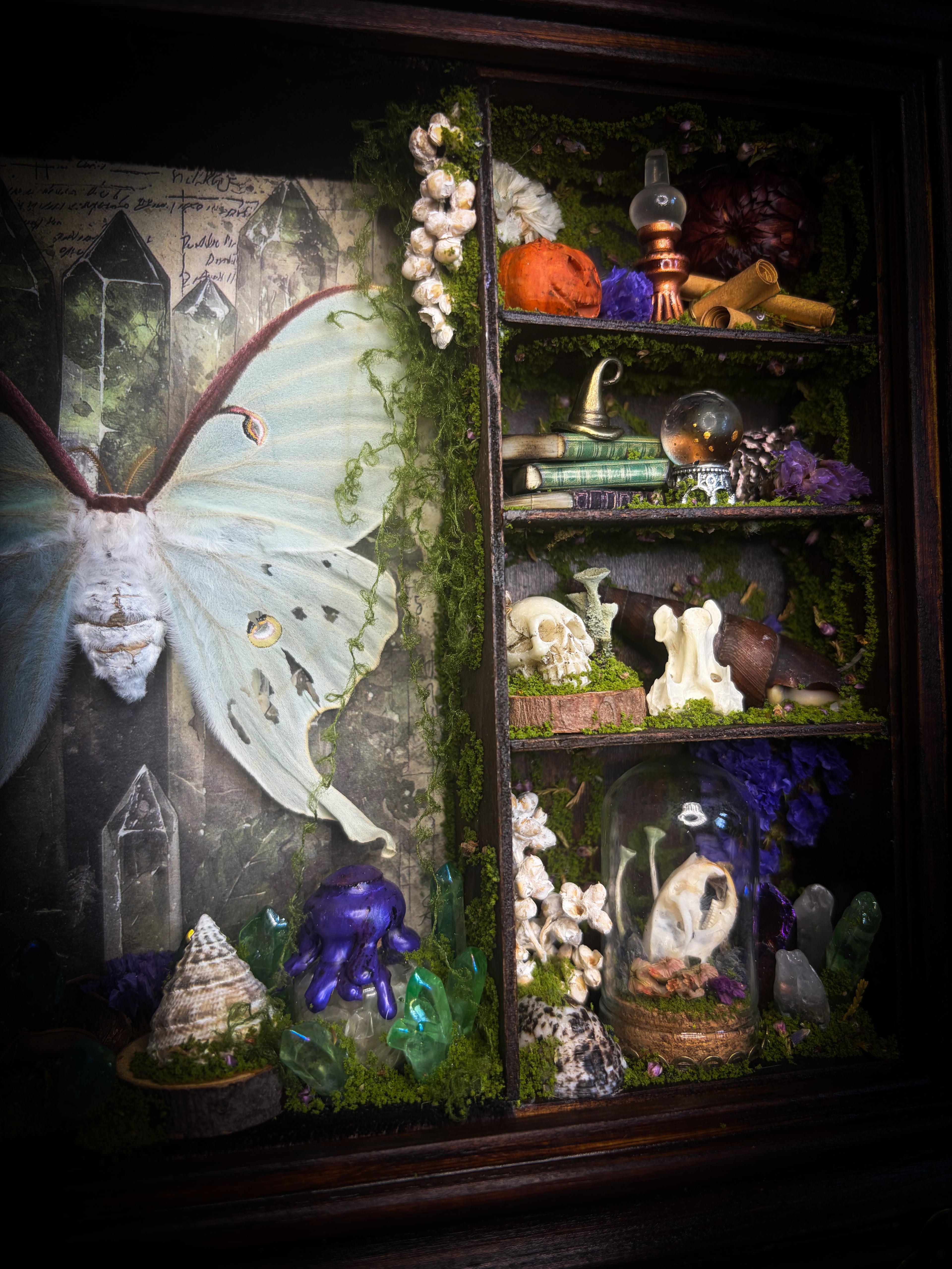 The Alchemist | handmade witchy shadowbox with Actias luna moth, green crystals, snake skin bottle, glass dome, oil lamp and curiosities, dark wood frame with brown velvet and moth corner brackets | Morbid Oddities
