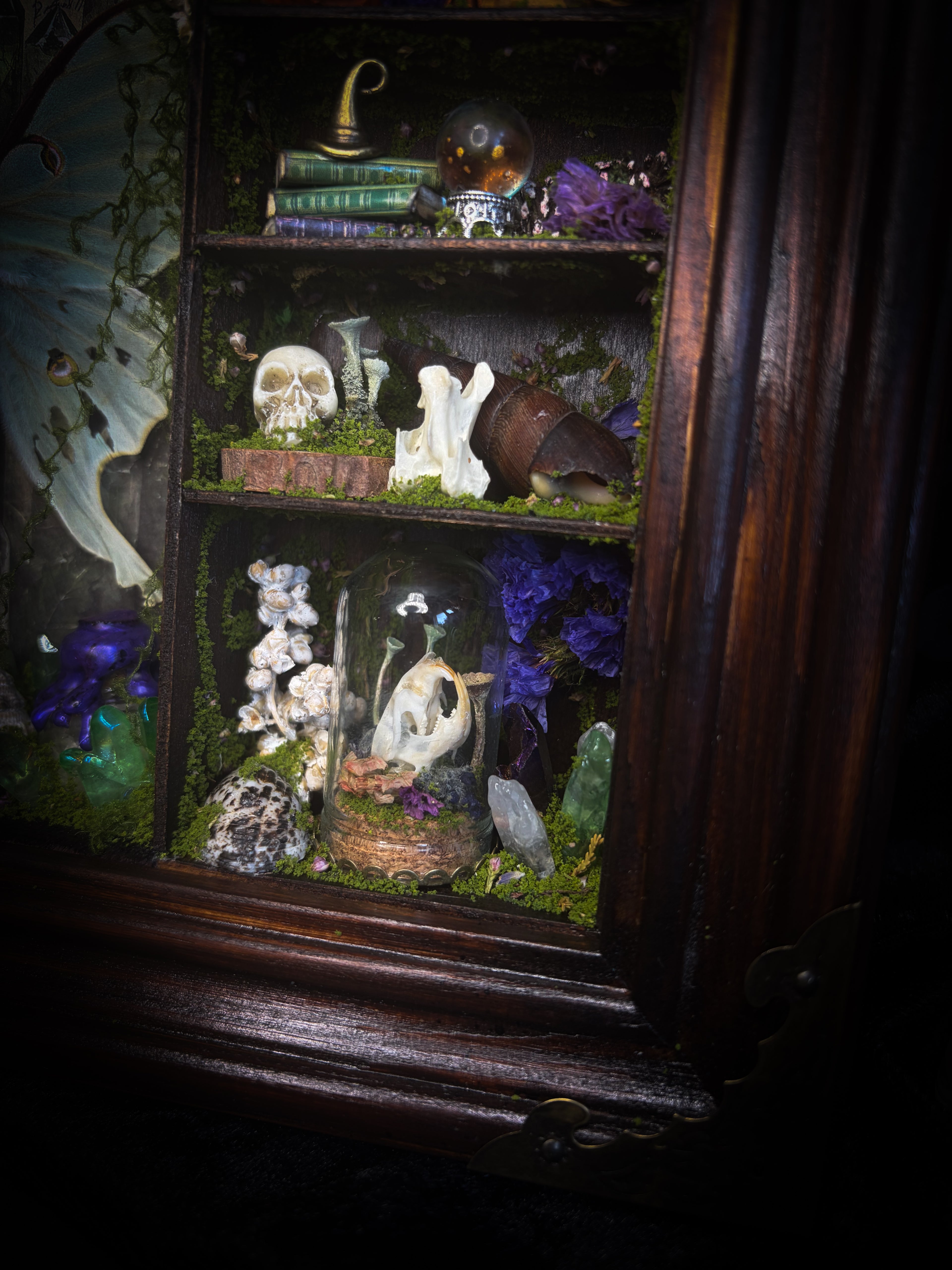 The Alchemist | handmade witchy shadowbox with Actias luna moth, green crystals, snake skin bottle, glass dome, oil lamp and curiosities, dark wood frame with brown velvet and moth corner brackets | Morbid Oddities
