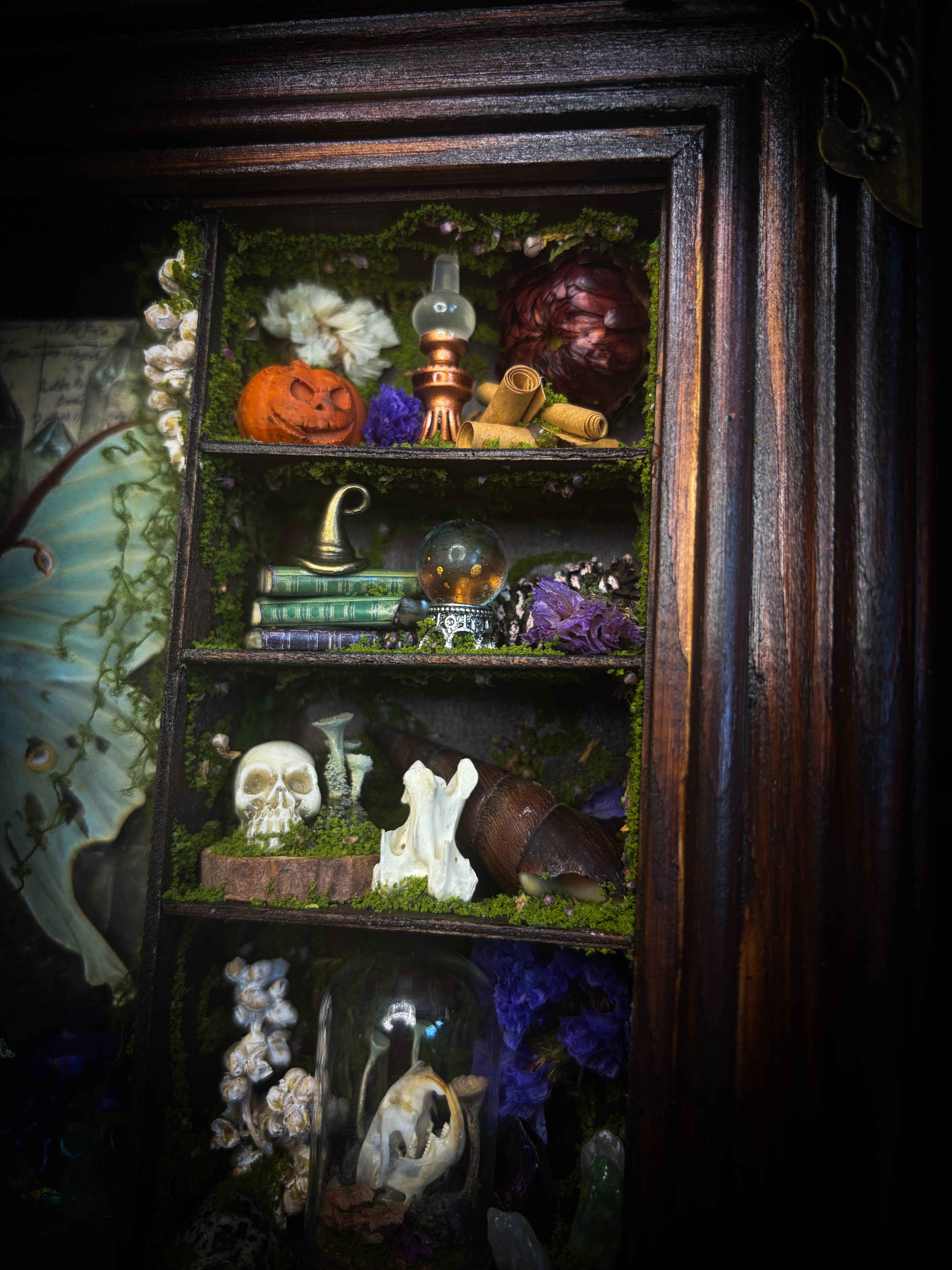 The Alchemist | handmade witchy shadowbox with Actias luna moth, green crystals, snake skin bottle, glass dome, oil lamp and curiosities, dark wood frame with brown velvet and moth corner brackets | Morbid Oddities
