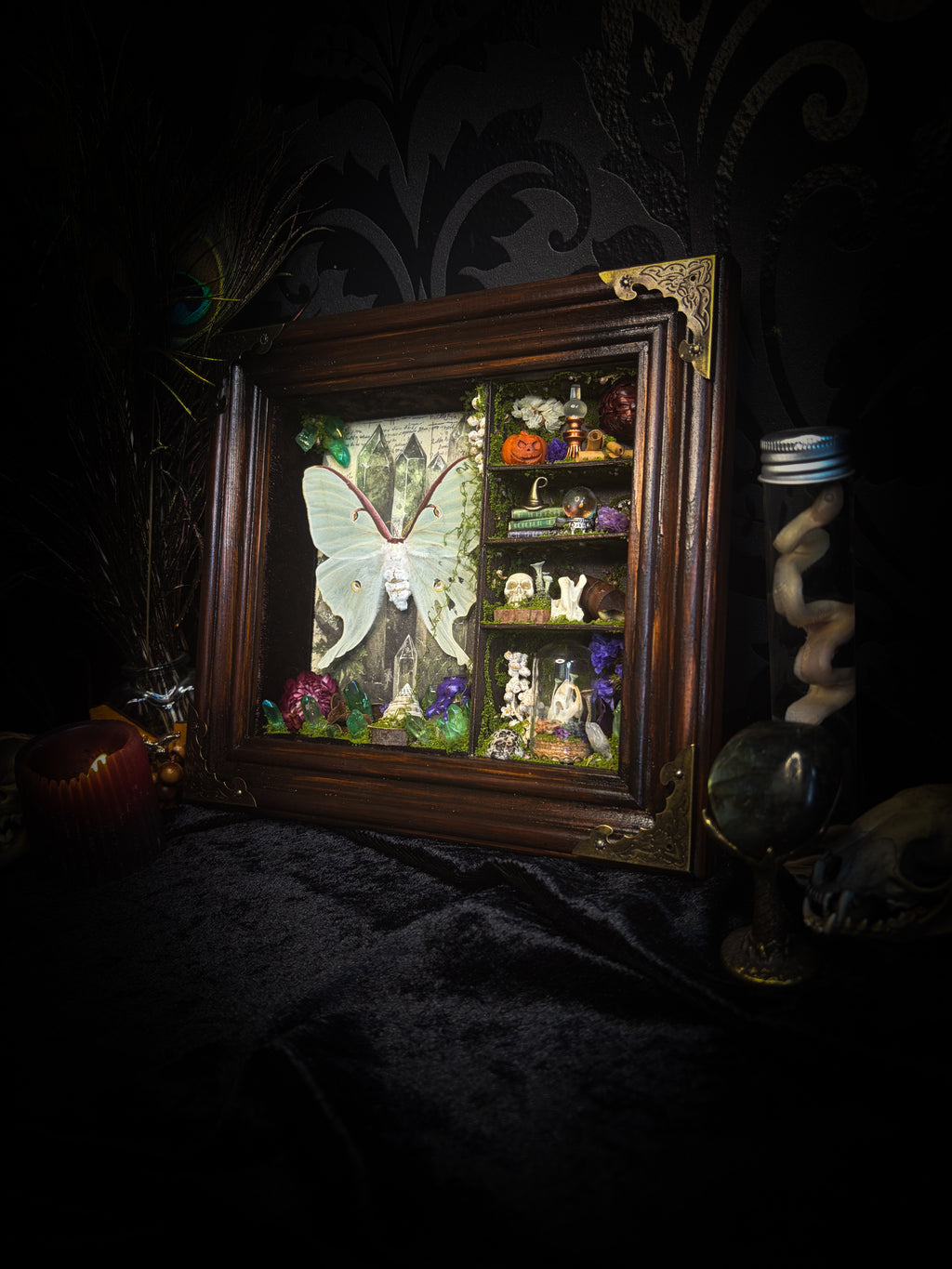 The Alchemist | handmade witchy shadowbox with Actias luna moth, green crystals, snake skin bottle, glass dome, oil lamp and curiosities, dark wood frame with brown velvet and moth corner brackets | Morbid Oddities
