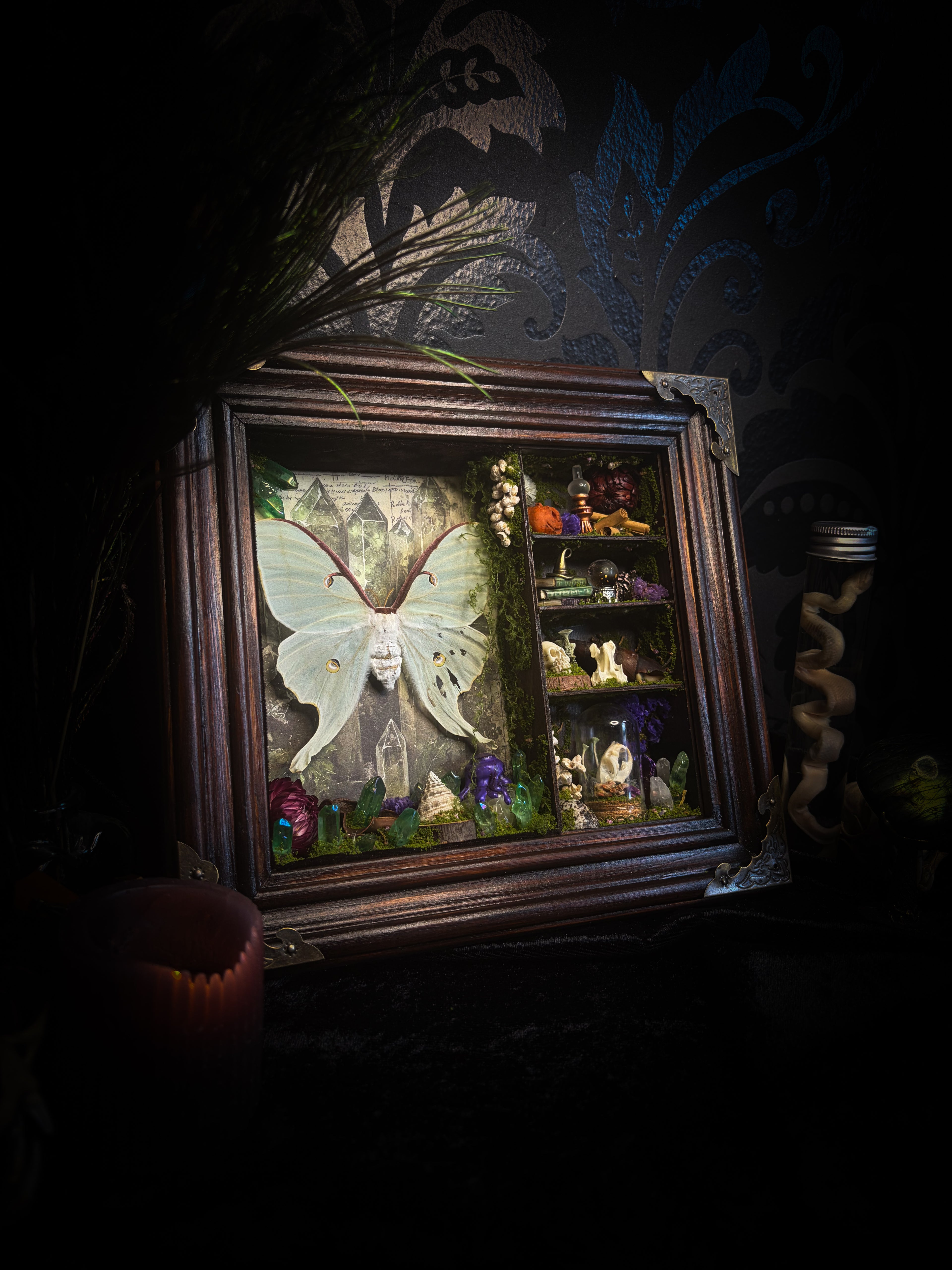 The Alchemist | handmade witchy shadowbox with Actias luna moth, green crystals, snake skin bottle, glass dome, oil lamp and curiosities, dark wood frame with brown velvet and moth corner brackets | Morbid Oddities
