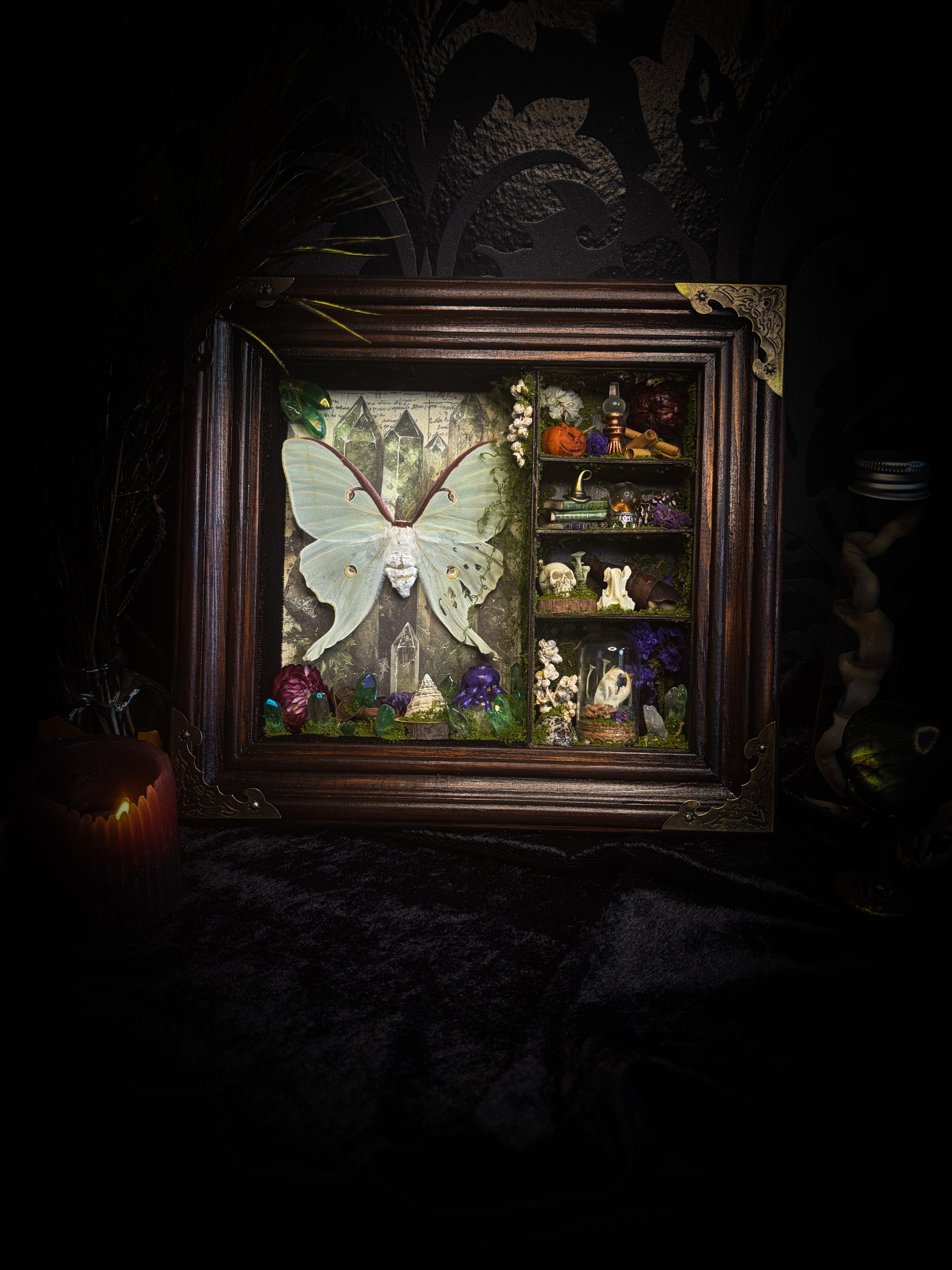 The Alchemist | handmade witchy shadowbox with Actias luna moth, green crystals, snake skin bottle, glass dome, oil lamp and curiosities, dark wood frame with brown velvet and moth corner brackets | Morbid Oddities

