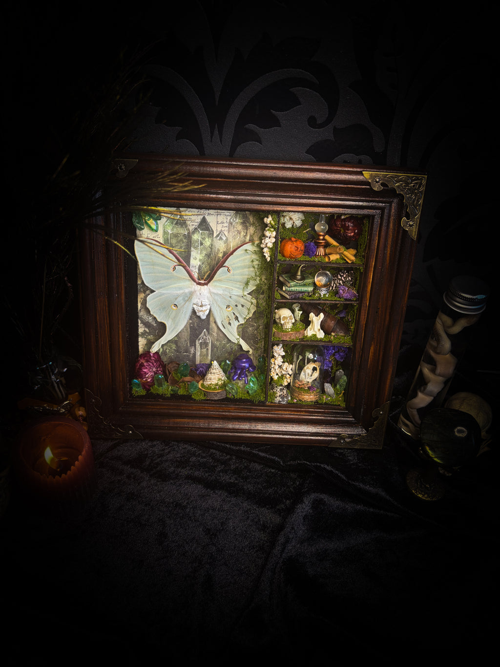 The Alchemist | handmade witchy shadowbox with Actias luna moth, green crystals, snake skin bottle, glass dome, oil lamp and curiosities, dark wood frame with brown velvet and moth corner brackets | Morbid Oddities
