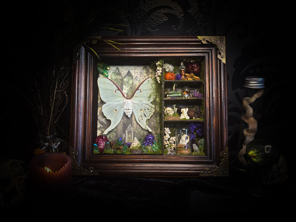 The Alchemist | handmade witchy shadowbox with Actias luna moth, green crystals, snake skin bottle, glass dome, oil lamp and curiosities, dark wood frame with brown velvet and moth corner brackets | Morbid Oddities
