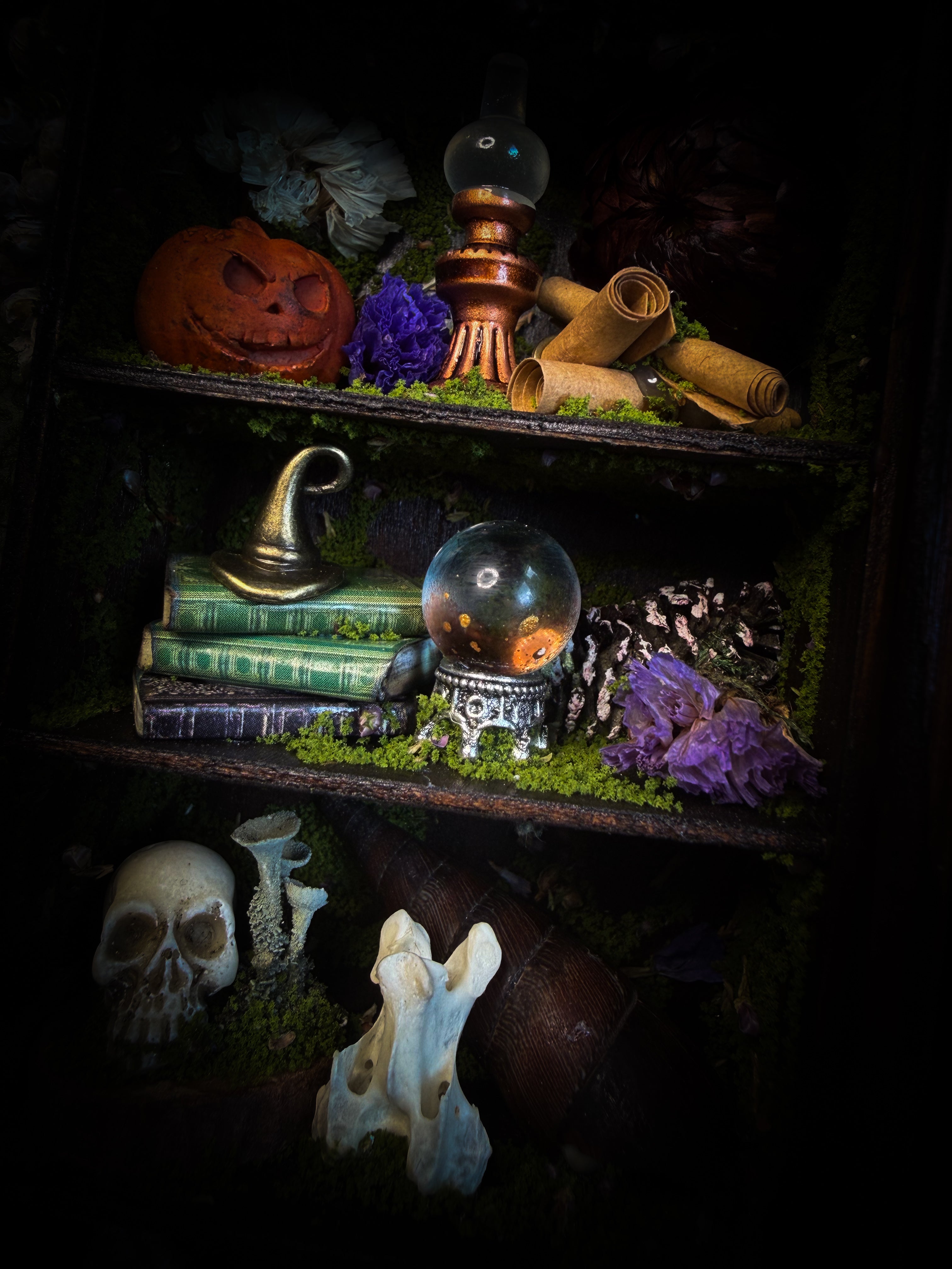The Alchemist | handmade witchy shadowbox with Actias luna moth, green crystals, snake skin bottle, glass dome, oil lamp and curiosities, dark wood frame with brown velvet and moth corner brackets | Morbid Oddities
