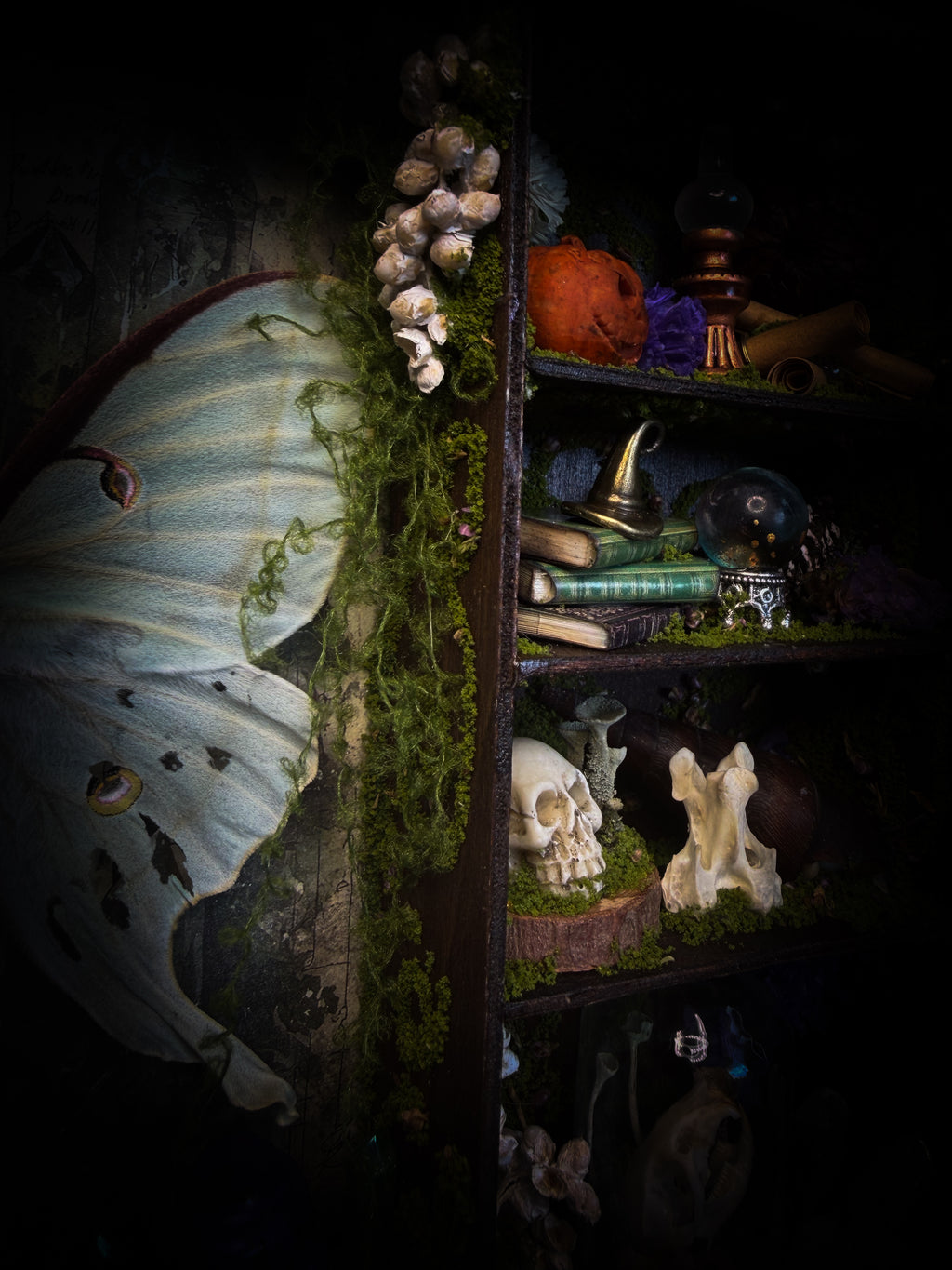 The Alchemist | handmade witchy shadowbox with Actias luna moth, green crystals, snake skin bottle, glass dome, oil lamp and curiosities, dark wood frame with brown velvet and moth corner brackets | Morbid Oddities
