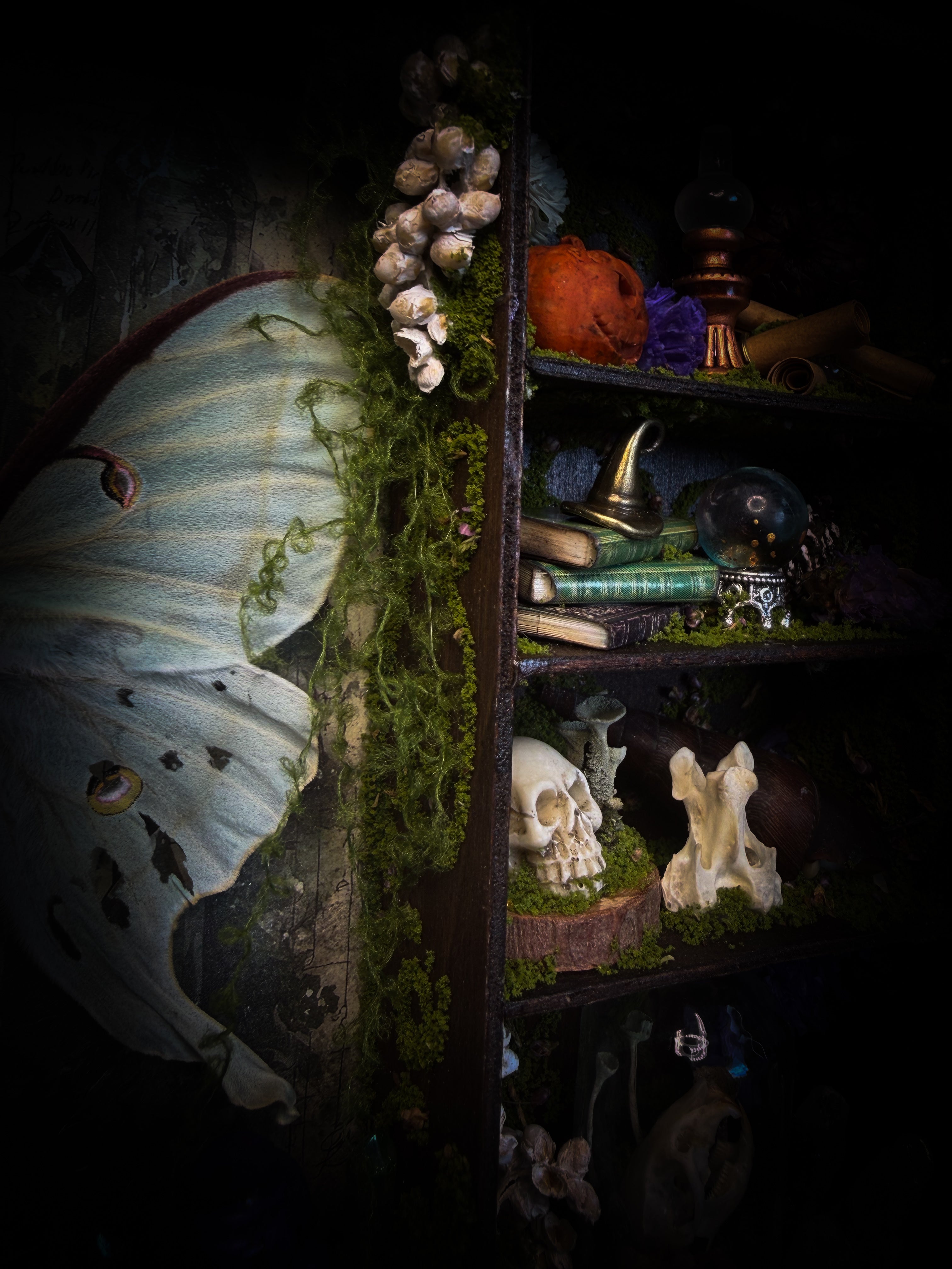 The Alchemist | handmade witchy shadowbox with Actias luna moth, green crystals, snake skin bottle, glass dome, oil lamp and curiosities, dark wood frame with brown velvet and moth corner brackets | Morbid Oddities
