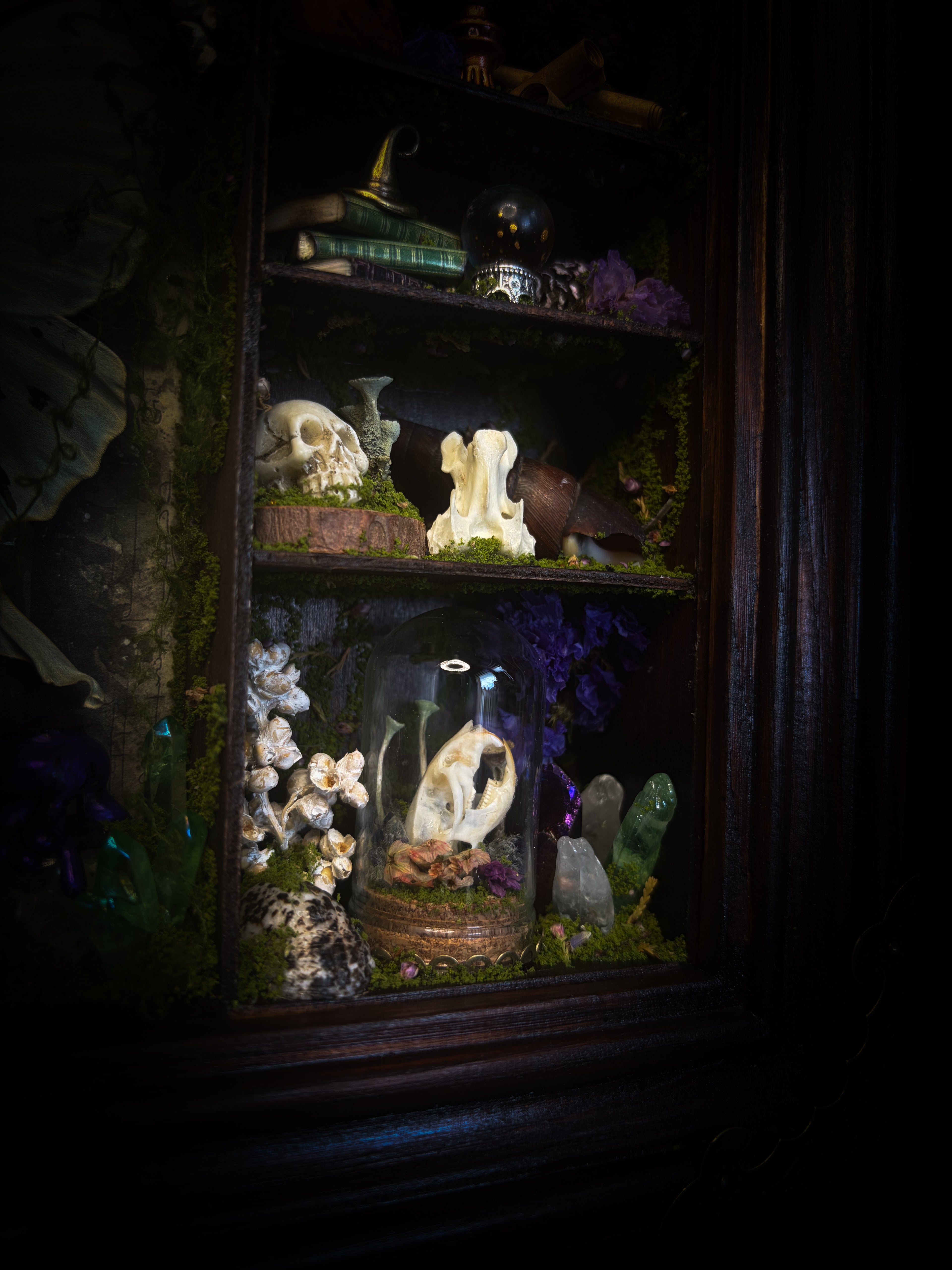 The Alchemist | handmade witchy shadowbox with Actias luna moth, green crystals, snake skin bottle, glass dome, oil lamp and curiosities, dark wood frame with brown velvet and moth corner brackets | Morbid Oddities
