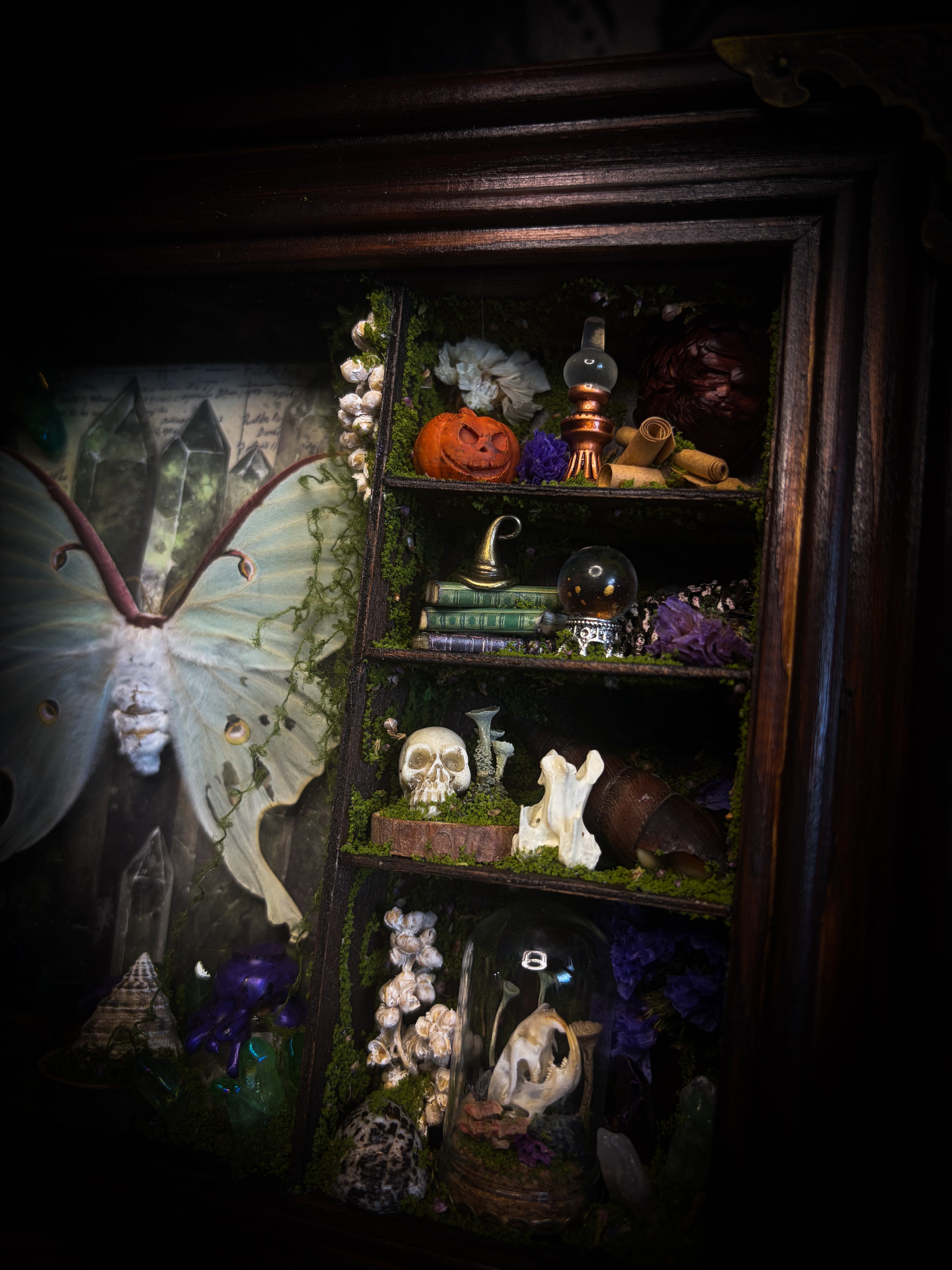 The Alchemist | handmade witchy shadowbox with Actias luna moth, green crystals, snake skin bottle, glass dome, oil lamp and curiosities, dark wood frame with brown velvet and moth corner brackets | Morbid Oddities
