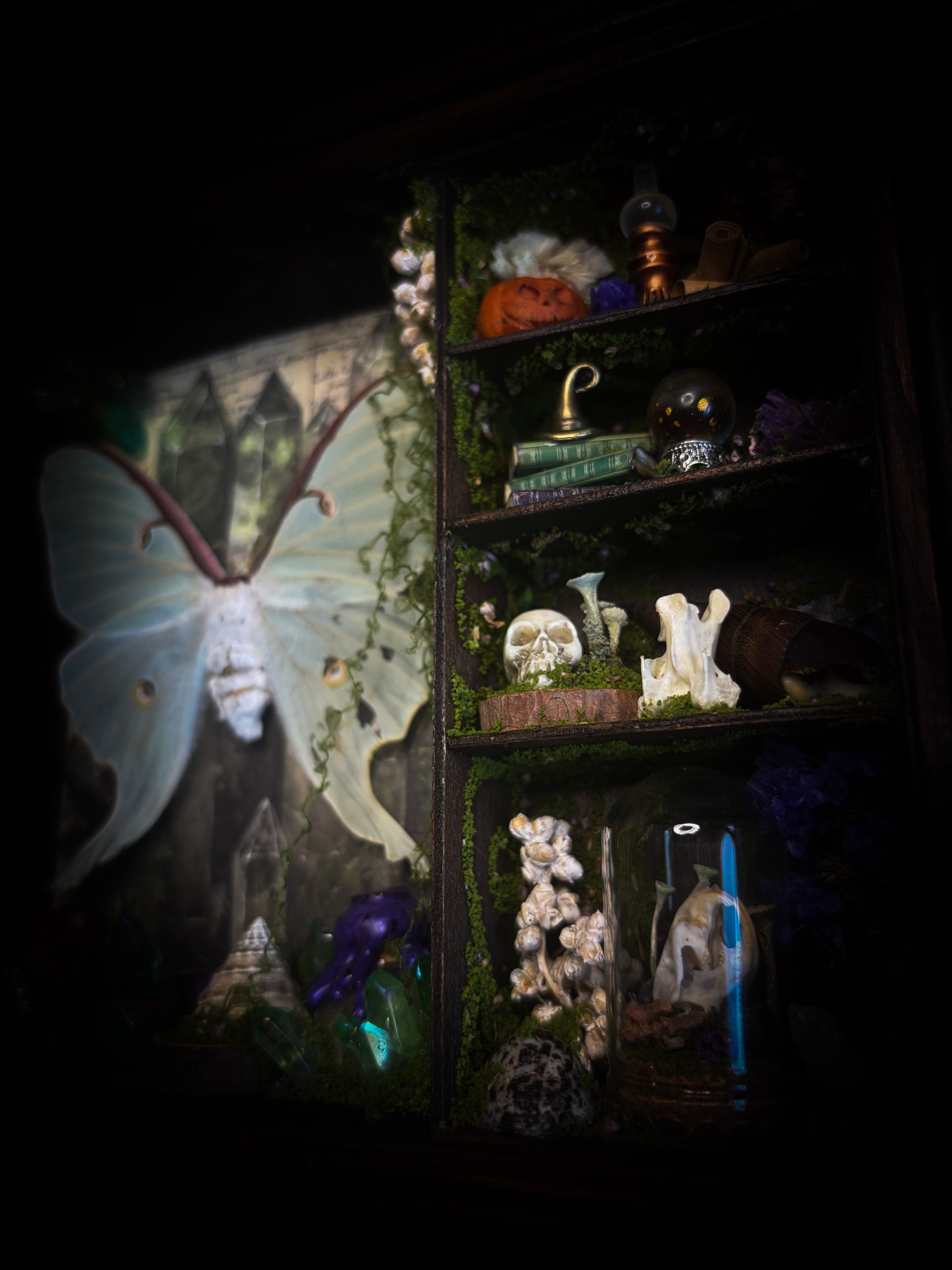 The Alchemist | handmade witchy shadowbox with Actias luna moth, green crystals, snake skin bottle, glass dome, oil lamp and curiosities, dark wood frame with brown velvet and moth corner brackets | Morbid Oddities
