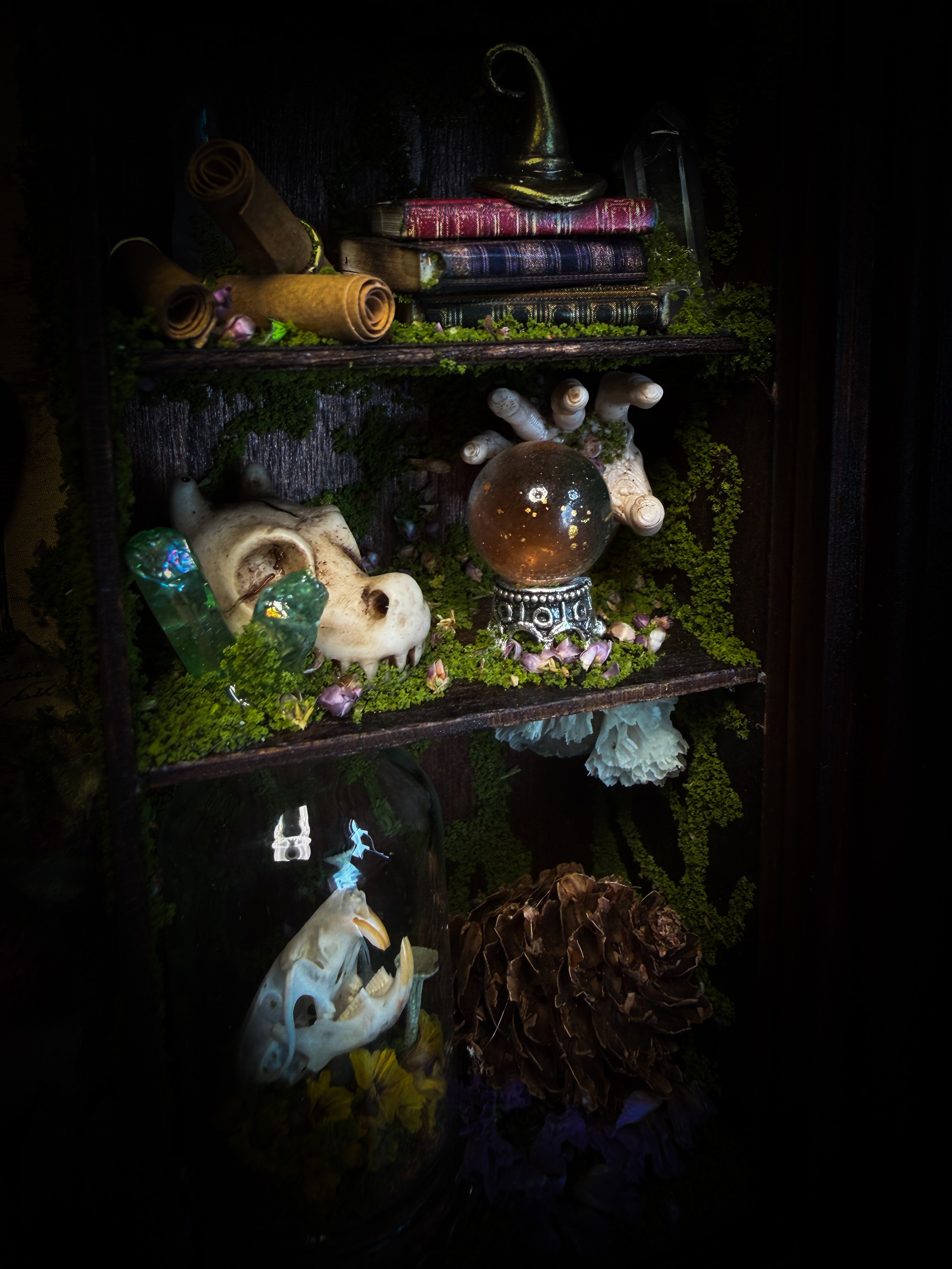 The Apothecary | handmade witchy shadowbox with two real lantern bugs Pyrops synavei and Pyrops pyrorhynchus, bat skull, pigeon skull, crystals, snake skin bottles and curiosities, dark wood frame | Morbid Oddities

