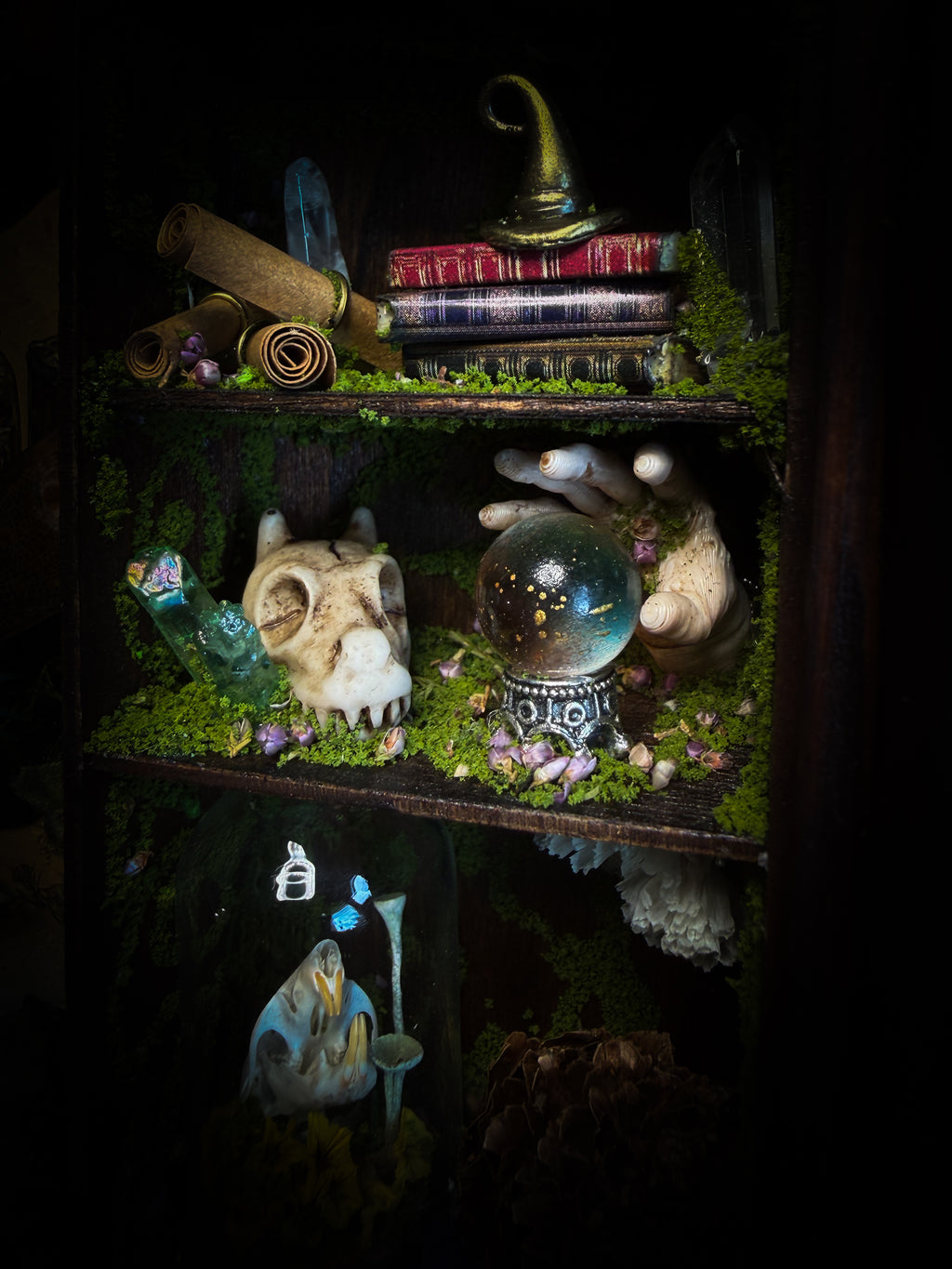 The Apothecary | handmade witchy shadowbox with two real lantern bugs Pyrops synavei and Pyrops pyrorhynchus, bat skull, pigeon skull, crystals, snake skin bottles and curiosities, dark wood frame | Morbid Oddities
