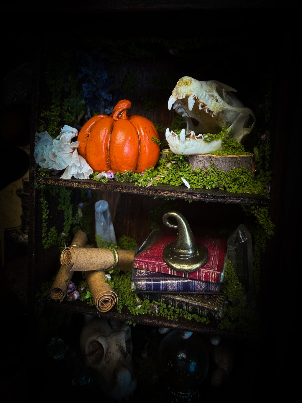The Apothecary | handmade witchy shadowbox with two real lantern bugs Pyrops synavei and Pyrops pyrorhynchus, bat skull, pigeon skull, crystals, snake skin bottles and curiosities, dark wood frame | Morbid Oddities
