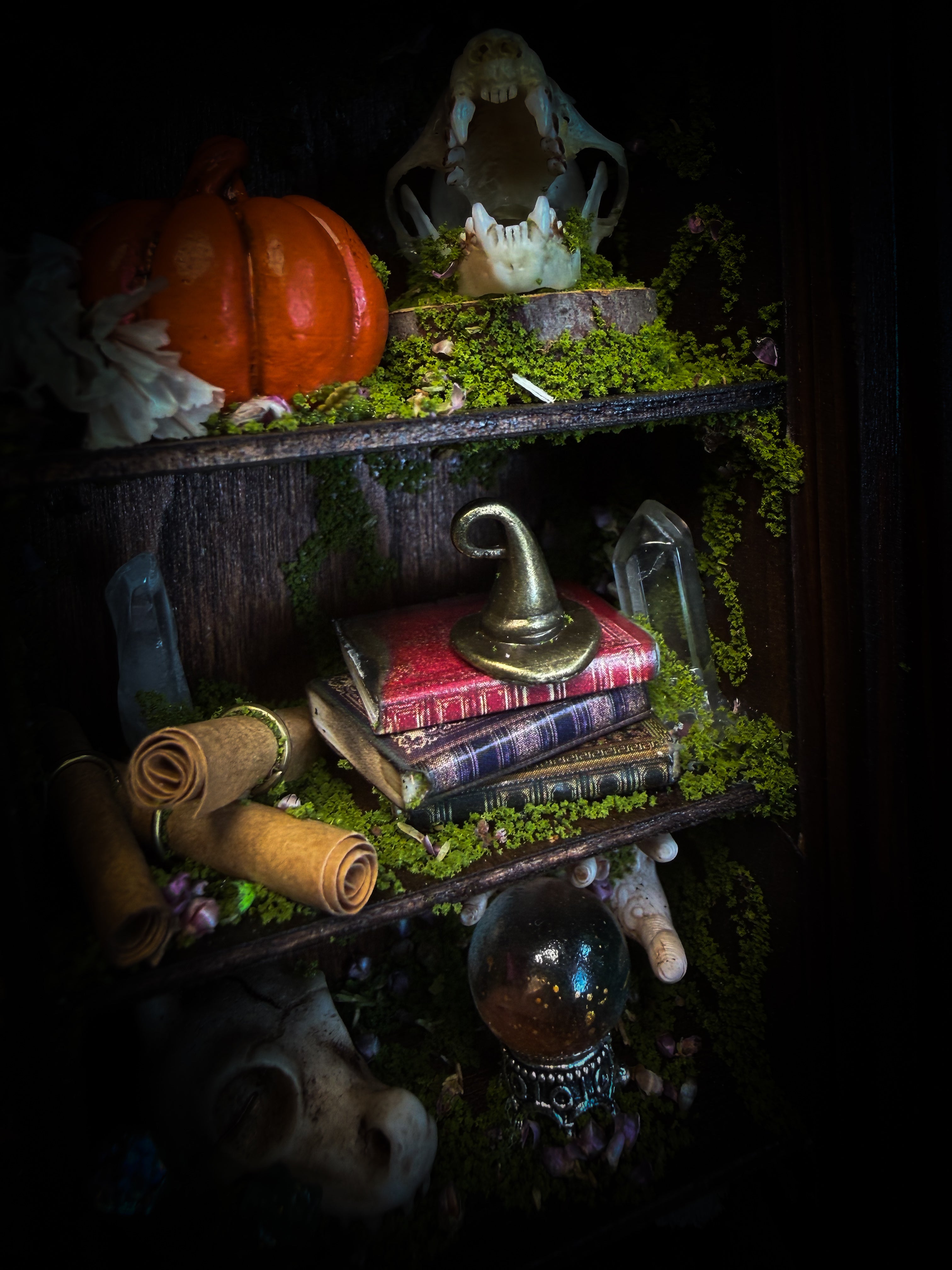 The Apothecary | handmade witchy shadowbox with two real lantern bugs Pyrops synavei and Pyrops pyrorhynchus, bat skull, pigeon skull, crystals, snake skin bottles and curiosities, dark wood frame | Morbid Oddities
