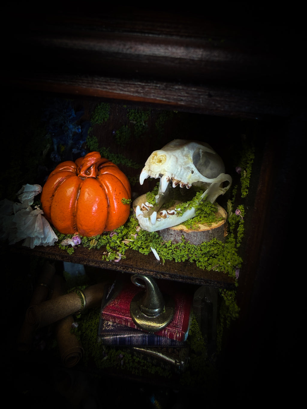 The Apothecary | handmade witchy shadowbox with two real lantern bugs Pyrops synavei and Pyrops pyrorhynchus, bat skull, pigeon skull, crystals, snake skin bottles and curiosities, dark wood frame | Morbid Oddities

