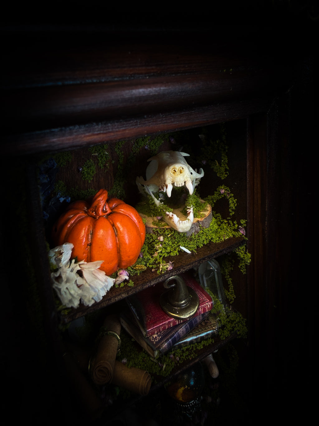 The Apothecary | handmade witchy shadowbox with two real lantern bugs Pyrops synavei and Pyrops pyrorhynchus, bat skull, pigeon skull, crystals, snake skin bottles and curiosities, dark wood frame | Morbid Oddities

