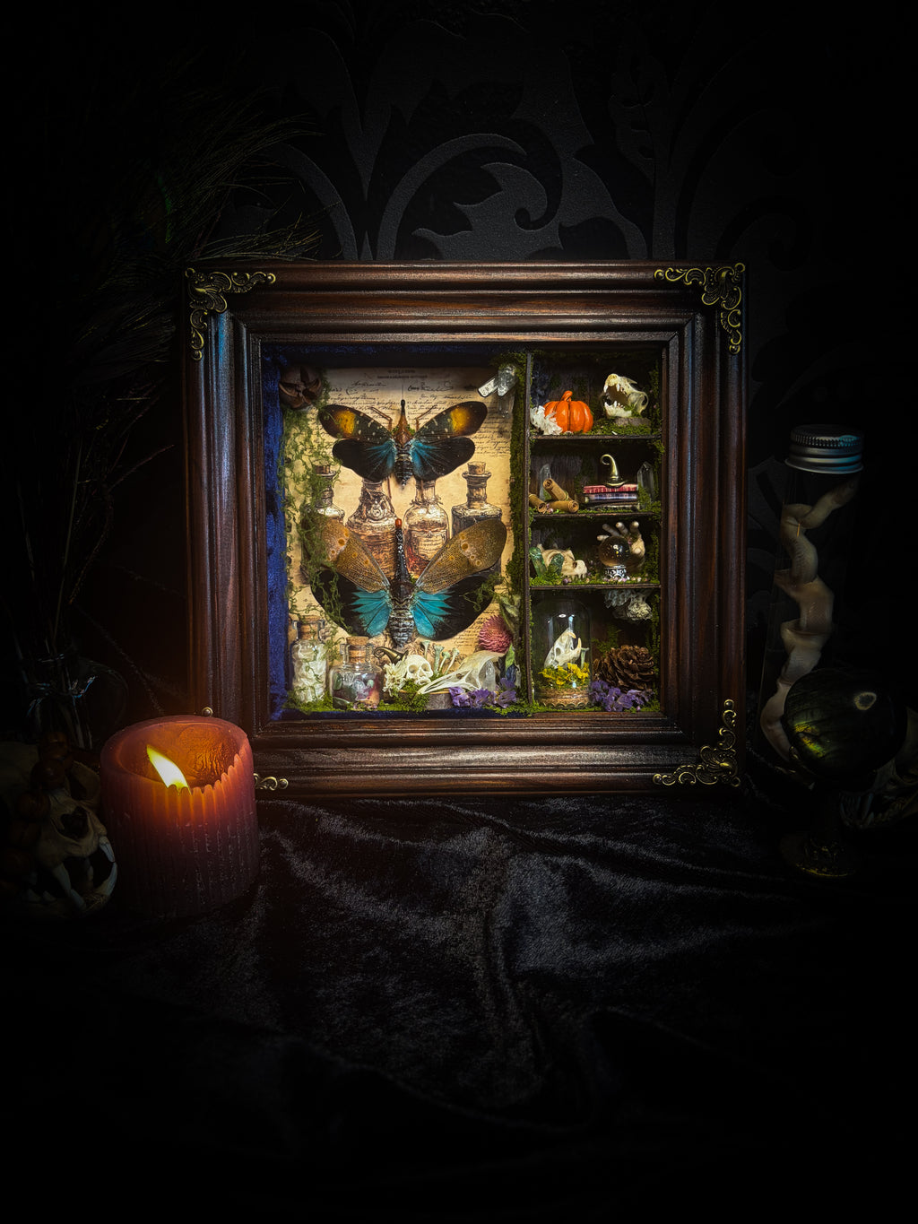The Apothecary | handmade witchy shadowbox with two real lantern bugs Pyrops synavei and Pyrops pyrorhynchus, bat skull, pigeon skull, crystals, snake skin bottles and curiosities, dark wood frame | Morbid Oddities
