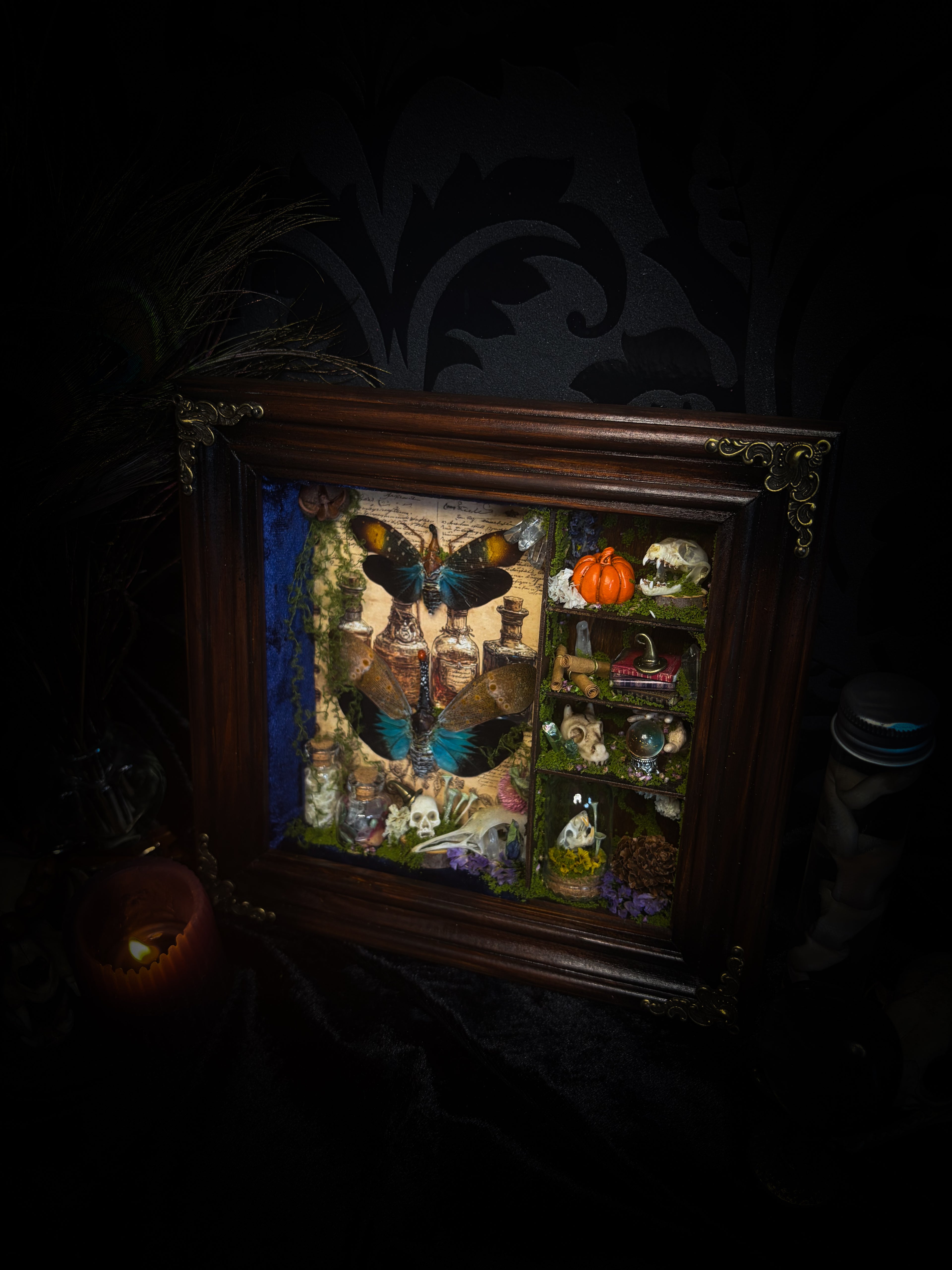 The Apothecary | handmade witchy shadowbox with two real lantern bugs Pyrops synavei and Pyrops pyrorhynchus, bat skull, pigeon skull, crystals, snake skin bottles and curiosities, dark wood frame | Morbid Oddities
