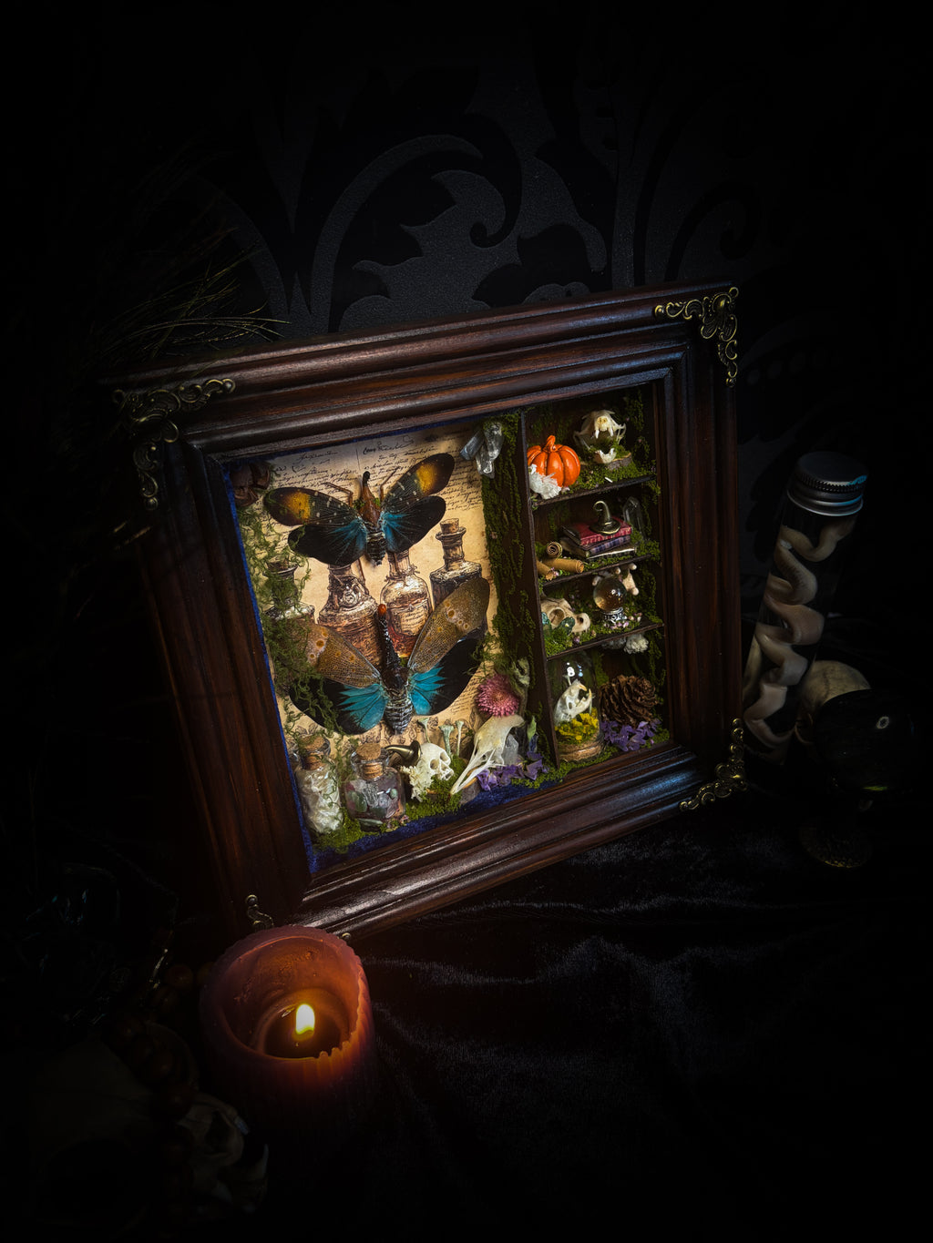 The Apothecary | handmade witchy shadowbox with two real lantern bugs Pyrops synavei and Pyrops pyrorhynchus, bat skull, pigeon skull, crystals, snake skin bottles and curiosities, dark wood frame | Morbid Oddities
