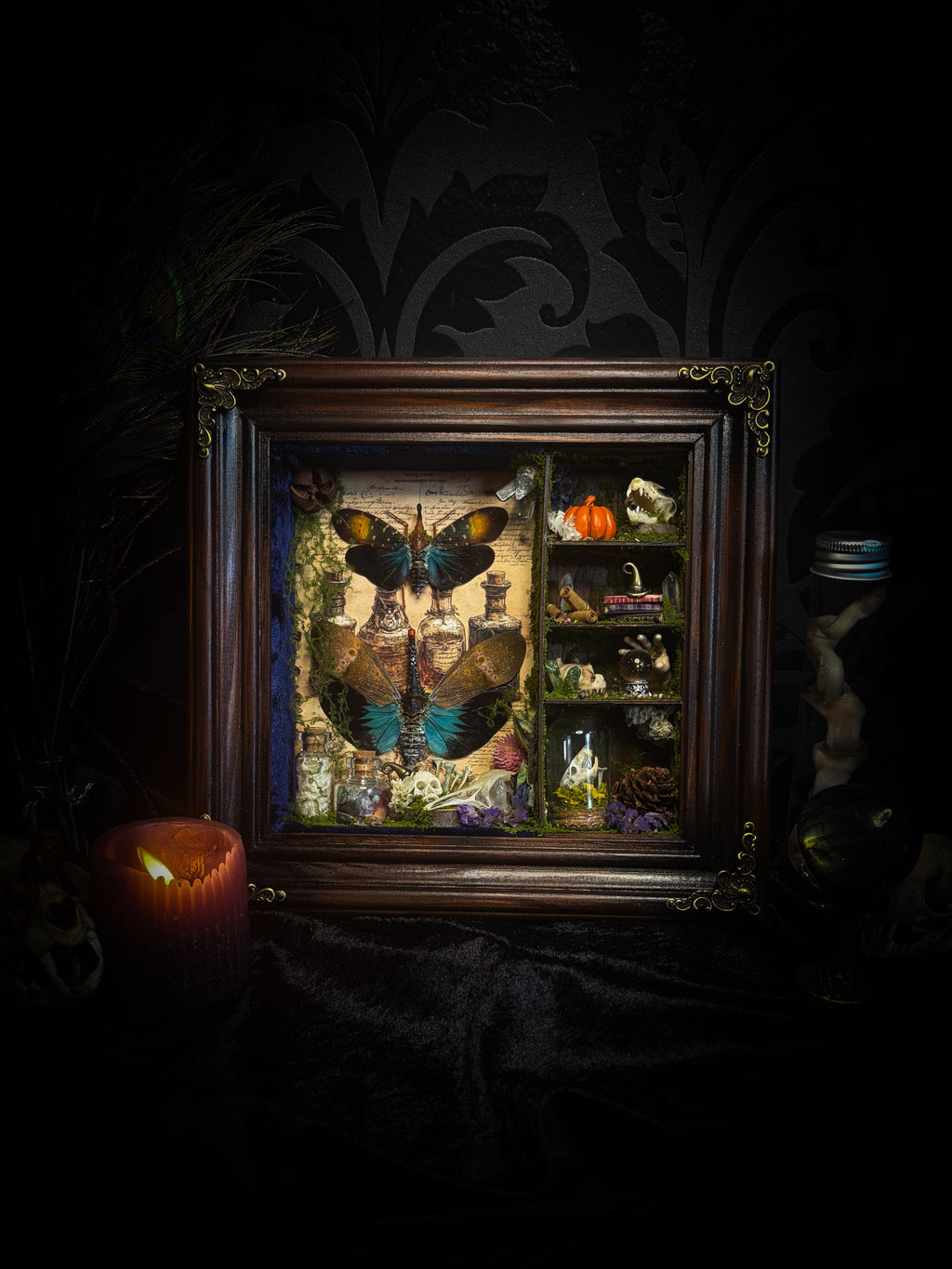 The Apothecary | handmade witchy shadowbox with two real lantern bugs Pyrops synavei and Pyrops pyrorhynchus, bat skull, pigeon skull, crystals, snake skin bottles and curiosities, dark wood frame | Morbid Oddities
