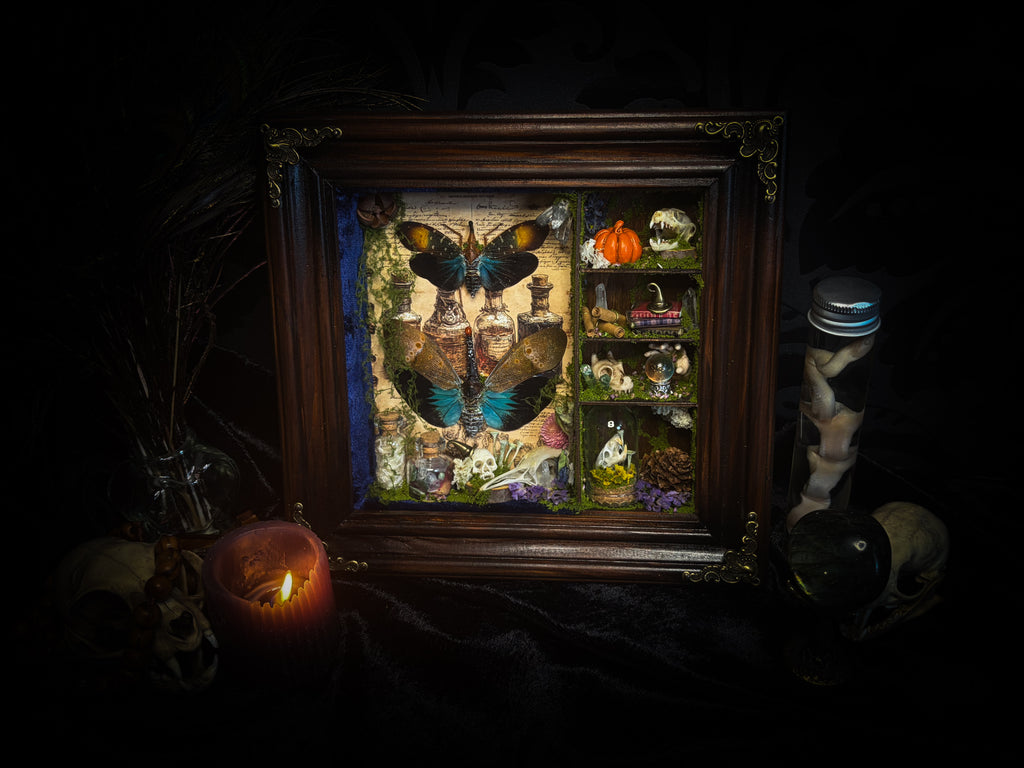 The Apothecary | handmade witchy shadowbox with two real lantern bugs Pyrops synavei and Pyrops pyrorhynchus, bat skull, pigeon skull, crystals, snake skin bottles and curiosities, dark wood frame | Morbid Oddities
