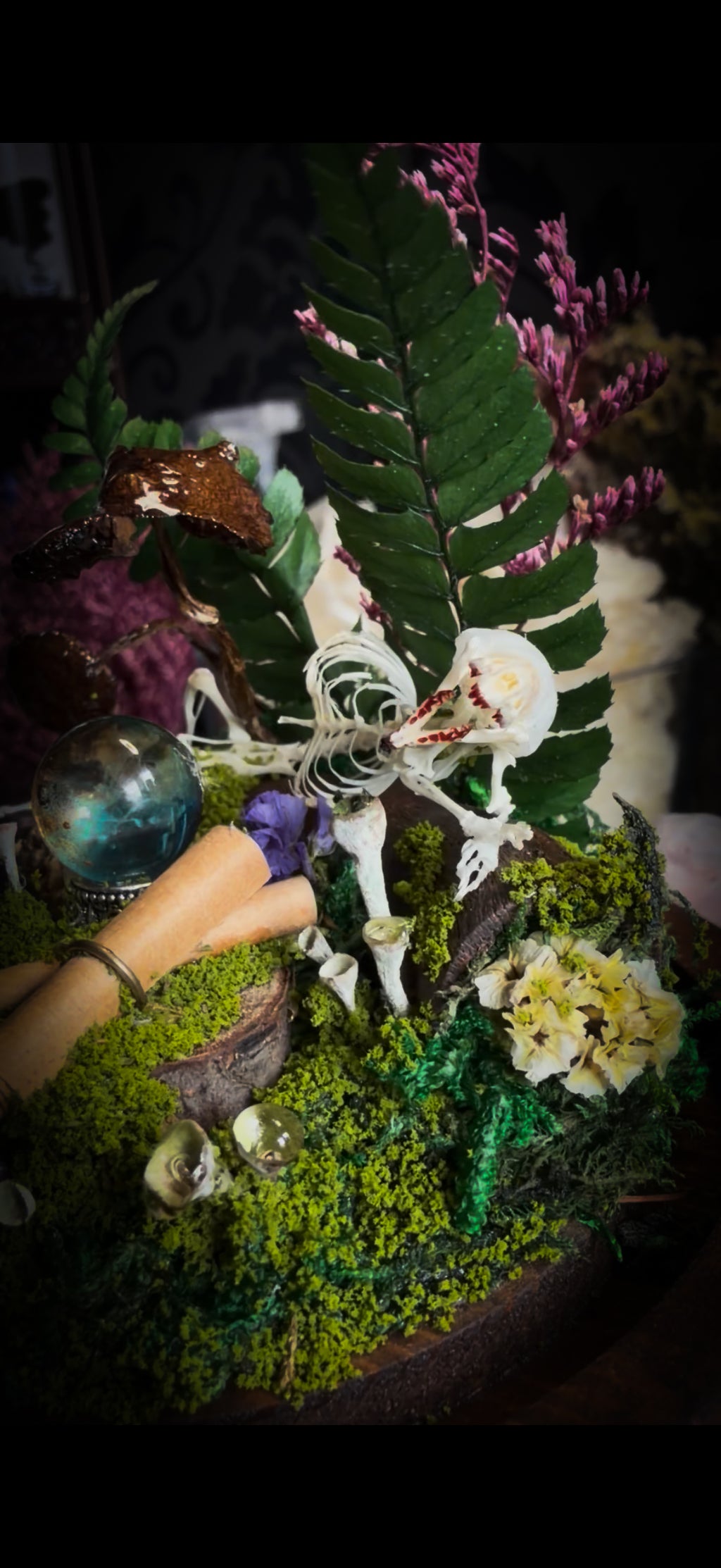 Ad Semitam Magicam | handmade woodland glass dome with real shrew skeleton with burgundy-stained teeth, magical scroll, crystal ball, moss, lichen, dried flowers, resin mushrooms and fern on hand-painted wooden base | Morbid Oddities
