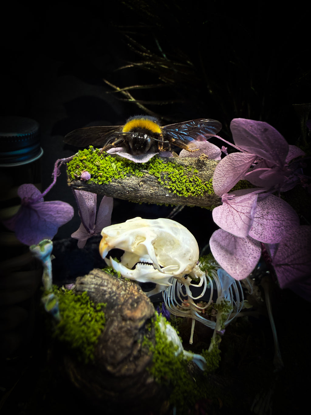 The Bumblebee's Garden | handmade whimsical glass dome with real bumblebee, mouse skeleton, moss, pine cones, mushrooms, pink violet and white dried flowers | Morbid Oddities
