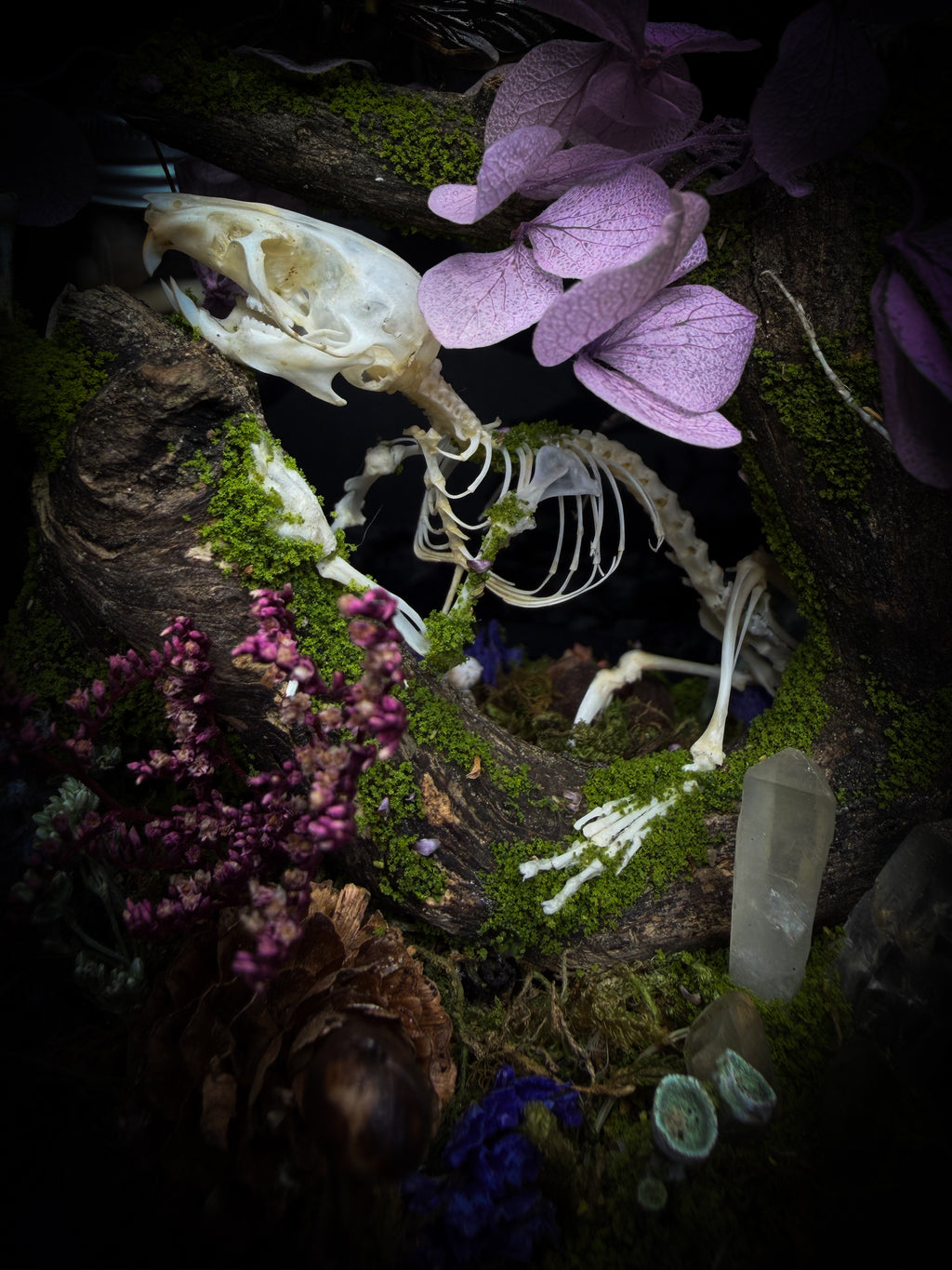 The Bumblebee's Garden | handmade whimsical glass dome with real bumblebee, mouse skeleton, moss, pine cones, mushrooms, pink violet and white dried flowers | Morbid Oddities
