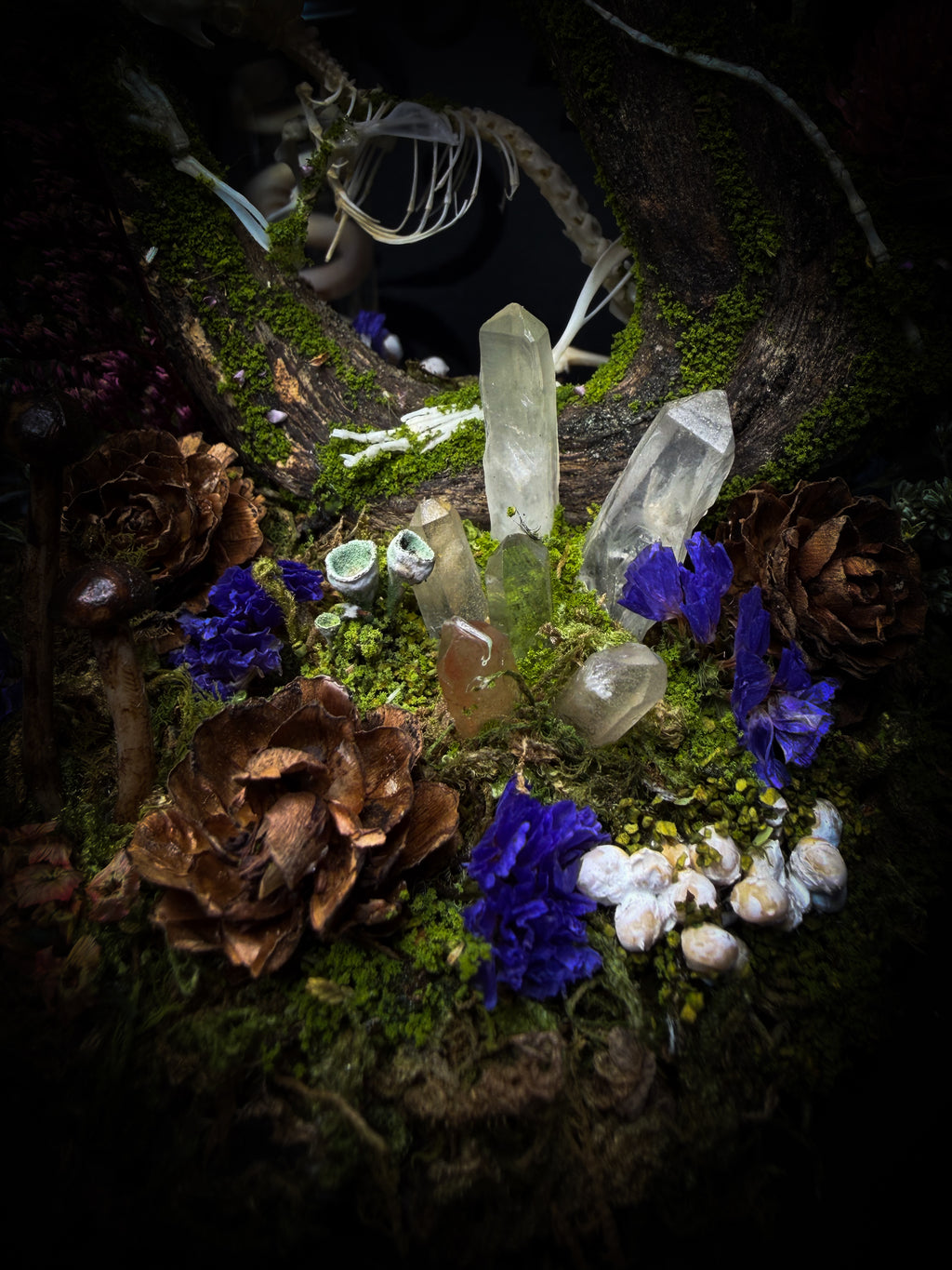The Bumblebee's Garden | handmade whimsical glass dome with real bumblebee, mouse skeleton, moss, pine cones, mushrooms, pink violet and white dried flowers | Morbid Oddities
