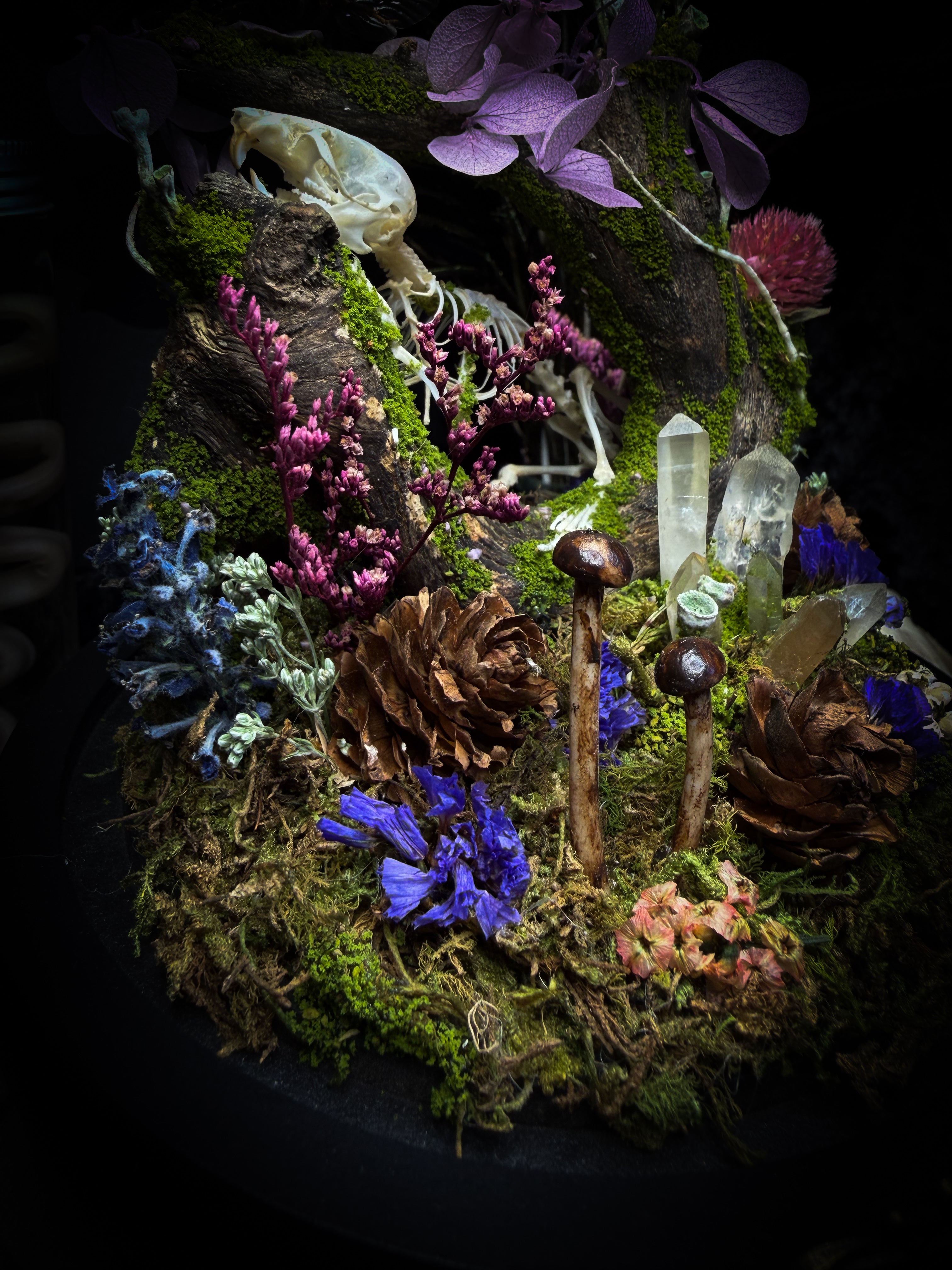 The Bumblebee's Garden | handmade whimsical glass dome with real bumblebee, mouse skeleton, moss, pine cones, mushrooms, pink violet and white dried flowers | Morbid Oddities
