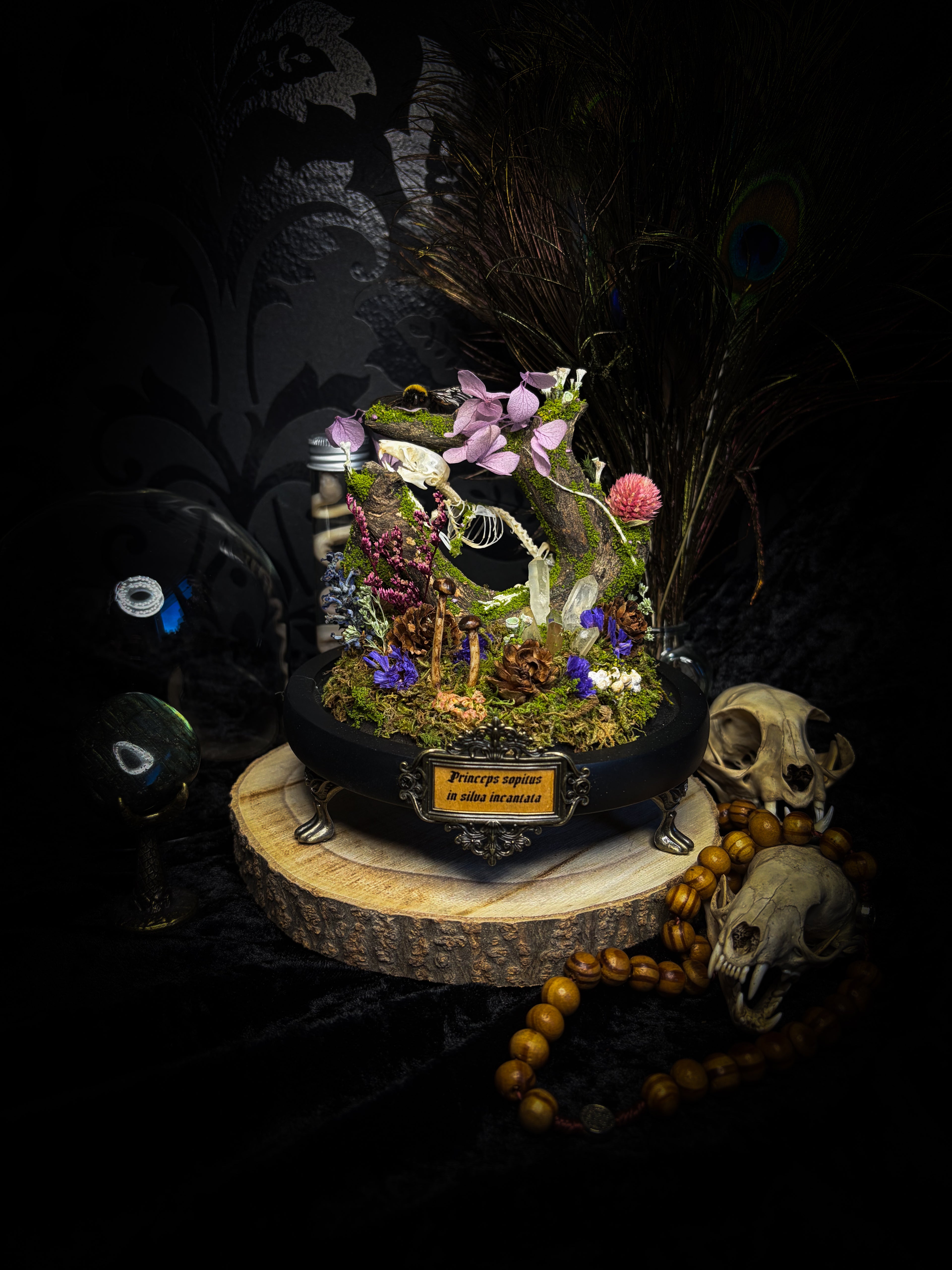 The Bumblebee's Garden | handmade whimsical glass dome with real bumblebee, mouse skeleton, moss, pine cones, mushrooms, pink violet and white dried flowers | Morbid Oddities
