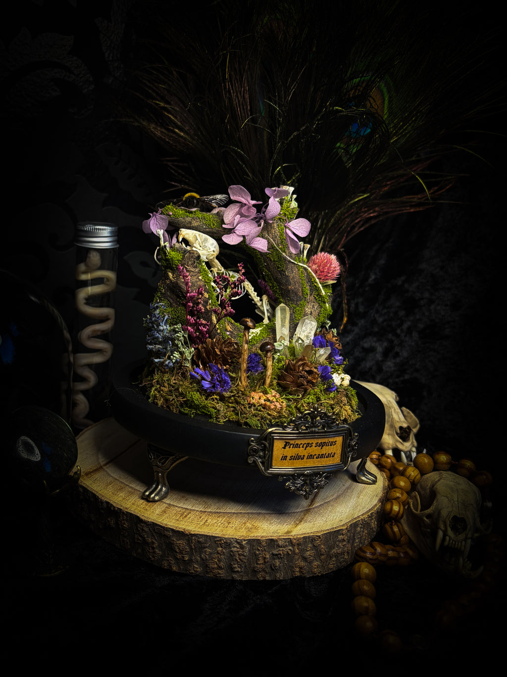 The Bumblebee's Garden | handmade whimsical glass dome with real bumblebee, mouse skeleton, moss, pine cones, mushrooms, pink violet and white dried flowers | Morbid Oddities
