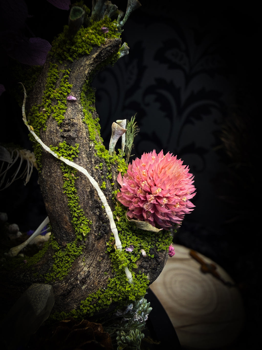 The Bumblebee's Garden | handmade whimsical glass dome with real bumblebee, mouse skeleton, moss, pine cones, mushrooms, pink violet and white dried flowers | Morbid Oddities

