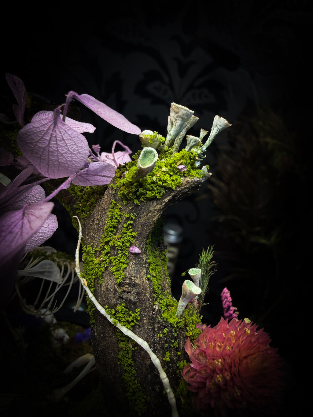 The Bumblebee's Garden | handmade whimsical glass dome with real bumblebee, mouse skeleton, moss, pine cones, mushrooms, pink violet and white dried flowers | Morbid Oddities
