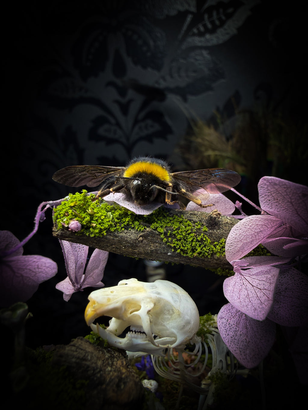 The Bumblebee's Garden | handmade whimsical glass dome with real bumblebee, mouse skeleton, moss, pine cones, mushrooms, pink violet and white dried flowers | Morbid Oddities
